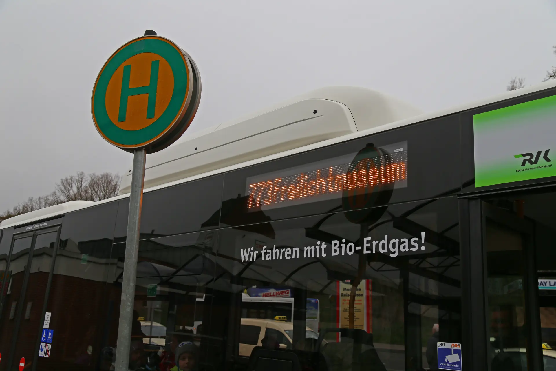 Ein heller, moderner Buch- und Souvenirladen mit großer Glasfassade und Holzvertäfelung. Im Innenraum stehen Regale mit Postkarten, Büchern, Holzspielzeug, Plüschtieren und anderen Souvenirs. Im Hintergrund sind eine Theke und ein Kunde zu sehen, umgeben von grünem Waldlicht, das durch die großen Fenster fällt.