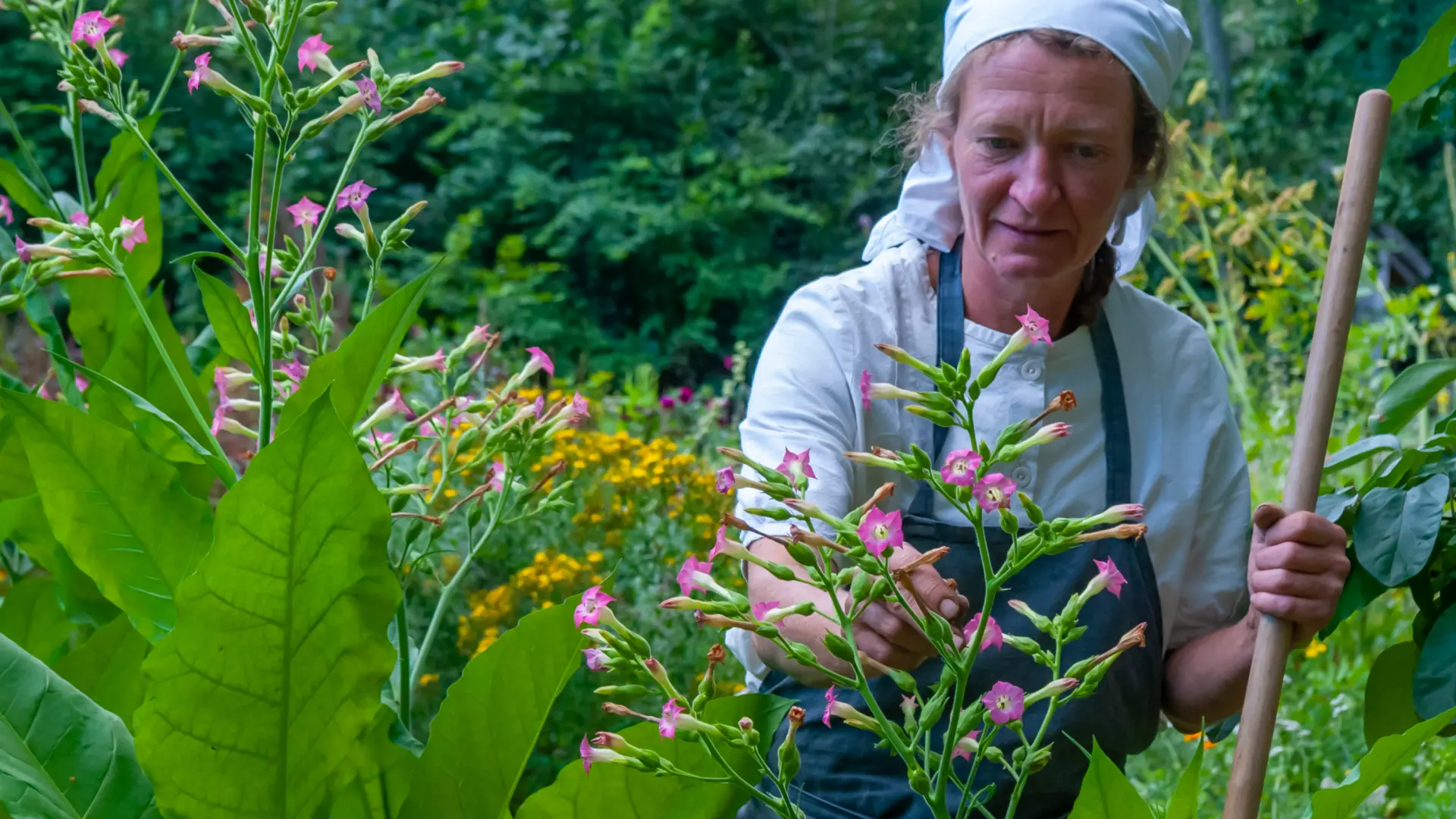 Eine Frau mit weißem Kopftuch greift nach wild wachsenden Blumen im Vordergrund.