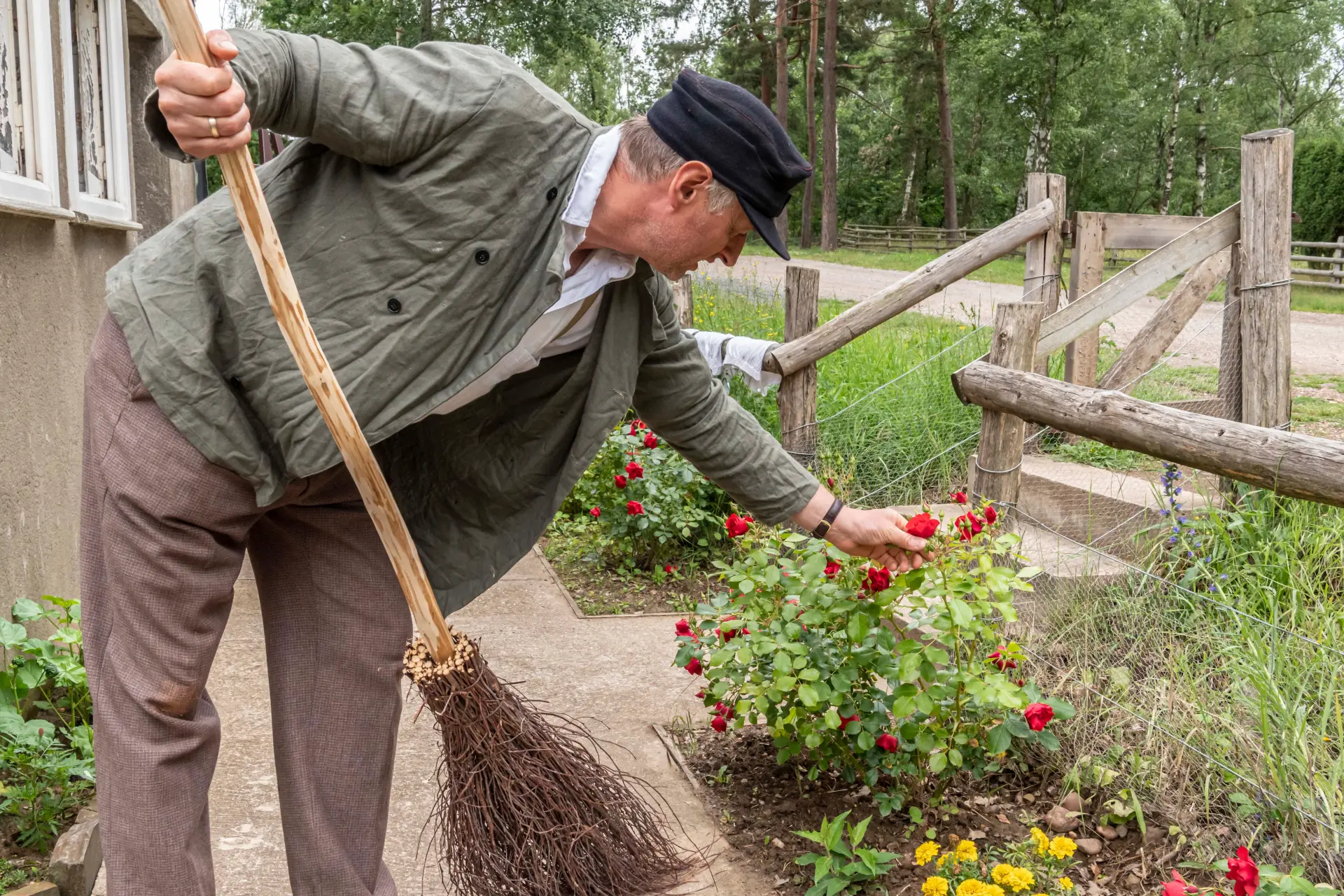 Kriegsheimkehrer steht mit einem Besen im Garten und betrachtet in gebückter Haltung die roten Rosen.