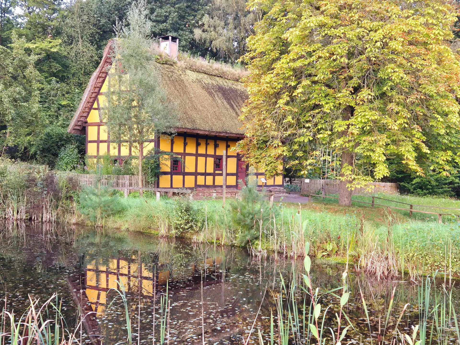 gelbes Fachwerkhaus mit einem großen Reetdach. Das Gebäude steht hinter einem kleinen Teich, dessen Wasser Teile des Hauses und der Vegetation spiegelt. Um das Haus befinden sich Bäume, Sträucher, Gräser und ein Holzzaun.
