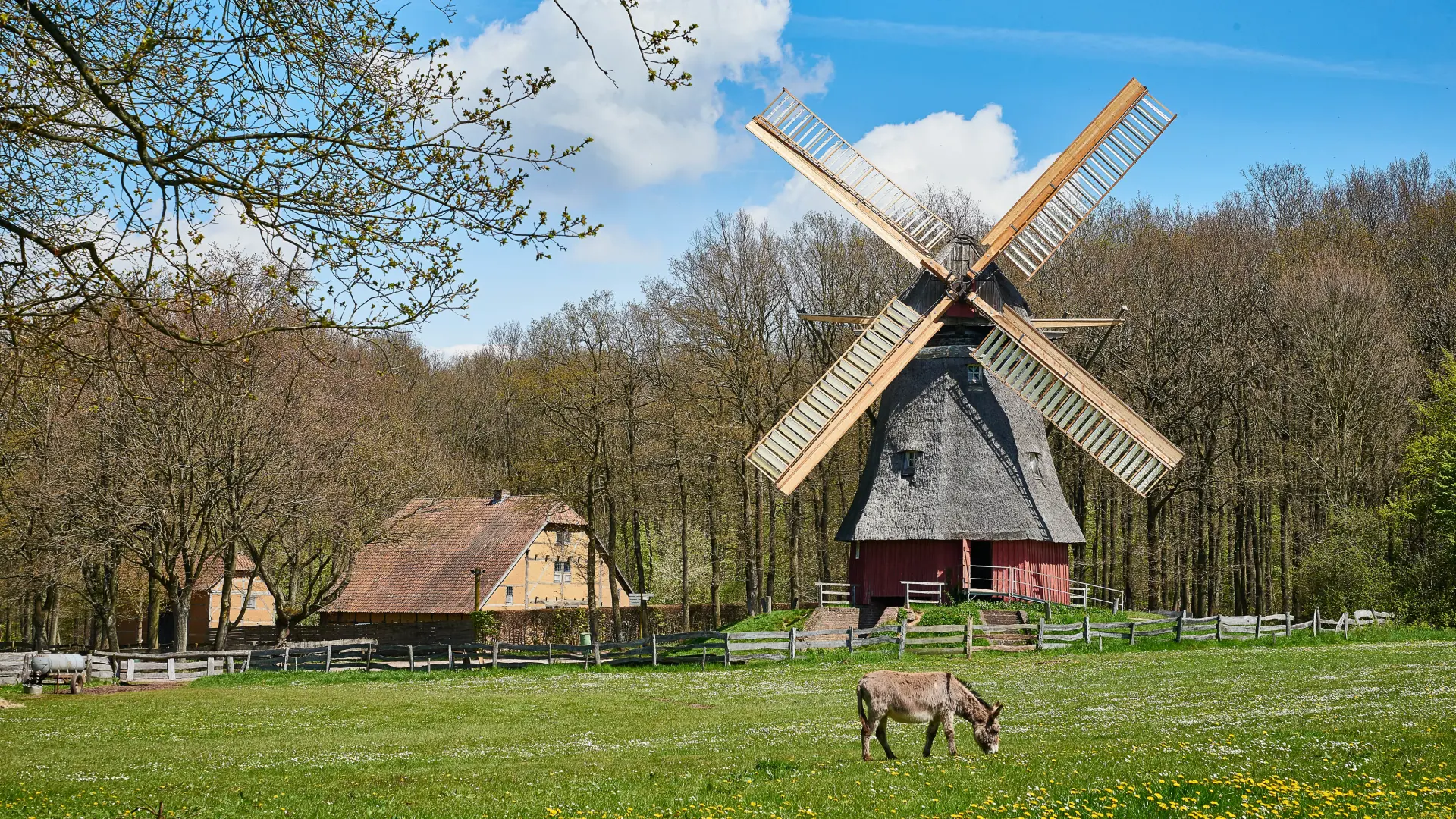Die Kappenwindmühle in der Baugruppe Niederrhein, davor ein Esel.