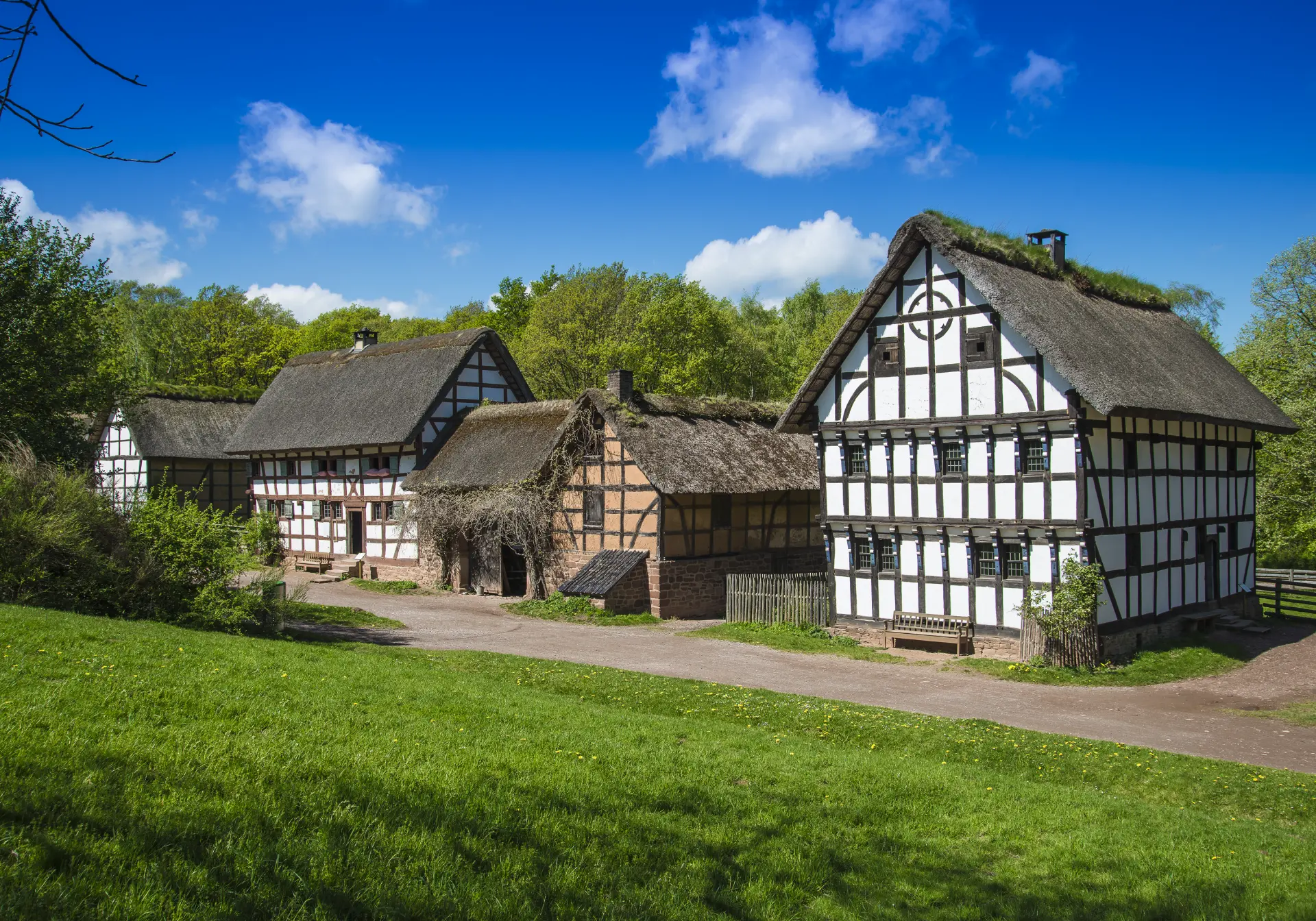 Ein bunter Hahn sitzt auf einem Holzzaun im Vordergrund eines historischen Bauernhofs. Im Hintergrund steht ein traditionelles Fachwerkhaus mit Reetdach, umgeben von Bäumen und einer gepflasterten Hoffläche. Einige Gänse bewegen sich auf dem Hof, während die Szene insgesamt eine ländliche Atmosphäre bei sonnigem Wetter zeigt.