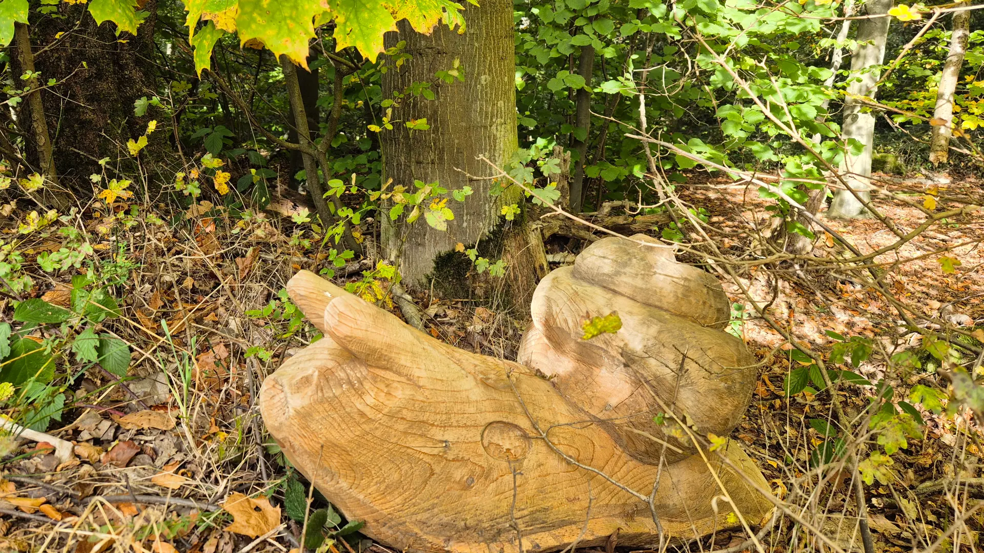 bewaldete Fläche mit dichtem Unterholz und mehreren Bäumen. Im Vordergrund liegt eine große, hellbraune Holzskulptur auf dem Waldboden.