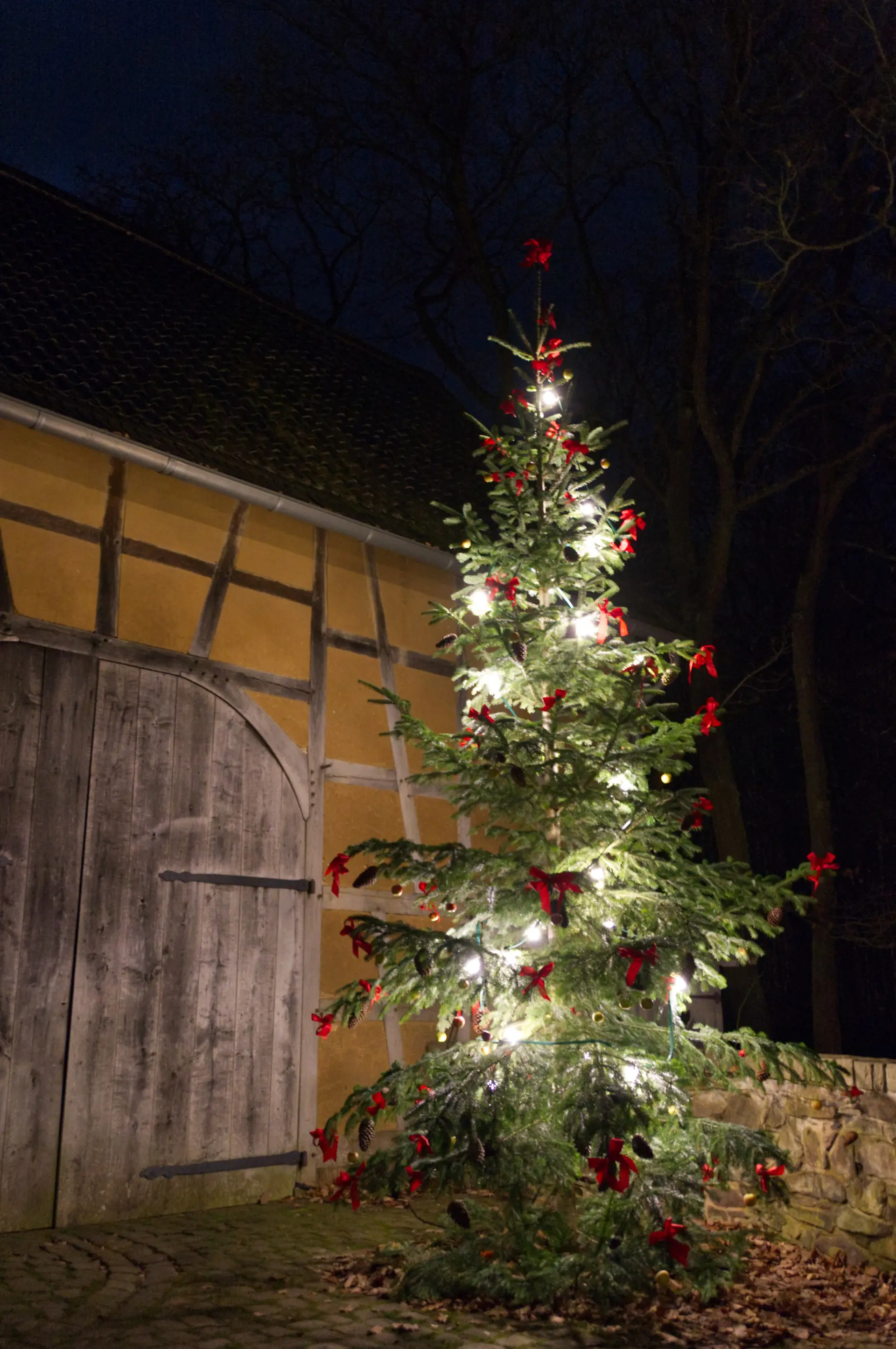 Geschmückter Tannenbaum vor einem historischen Fachwerkgebäude.