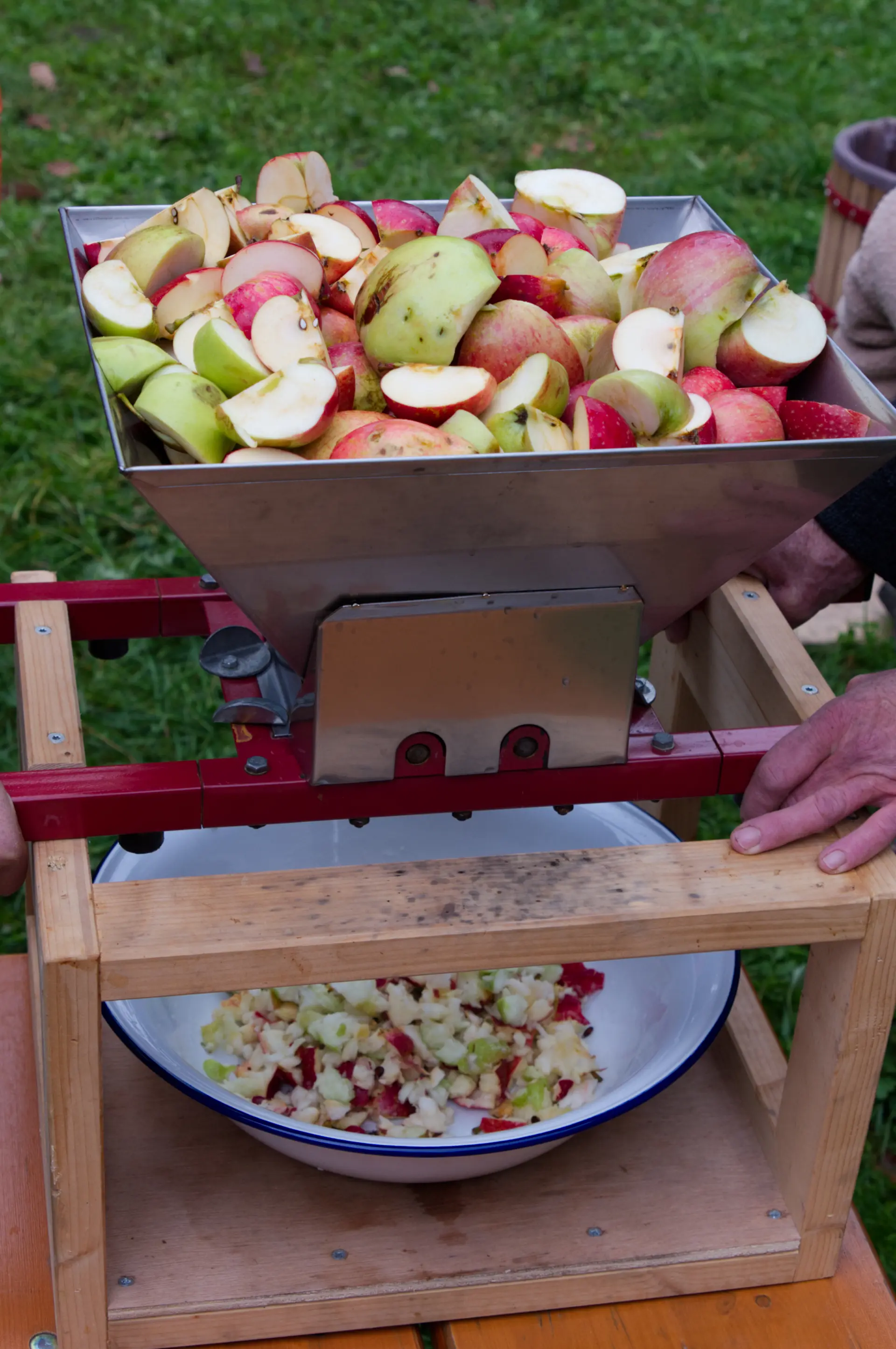 Äpfel werden gepresst.