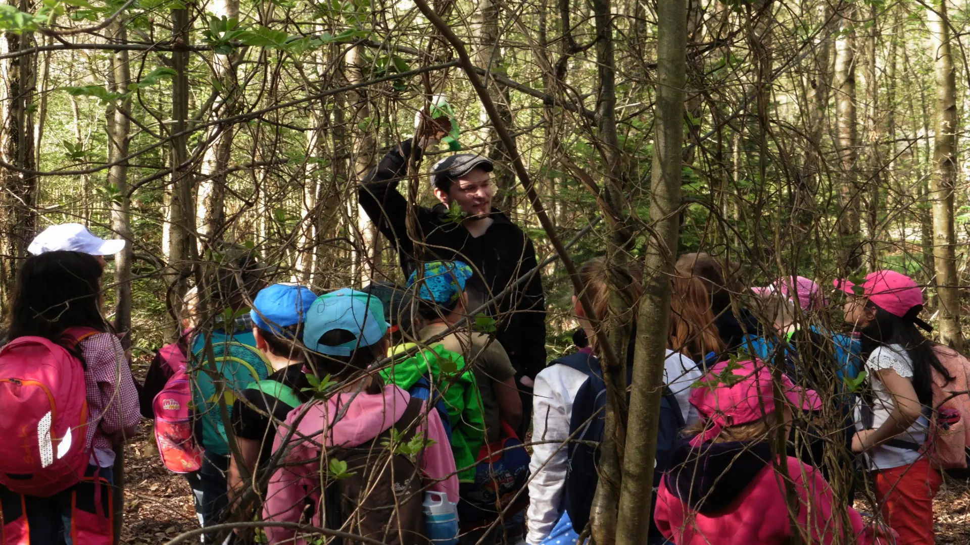 Kinder bei einem Projekt im Wald.