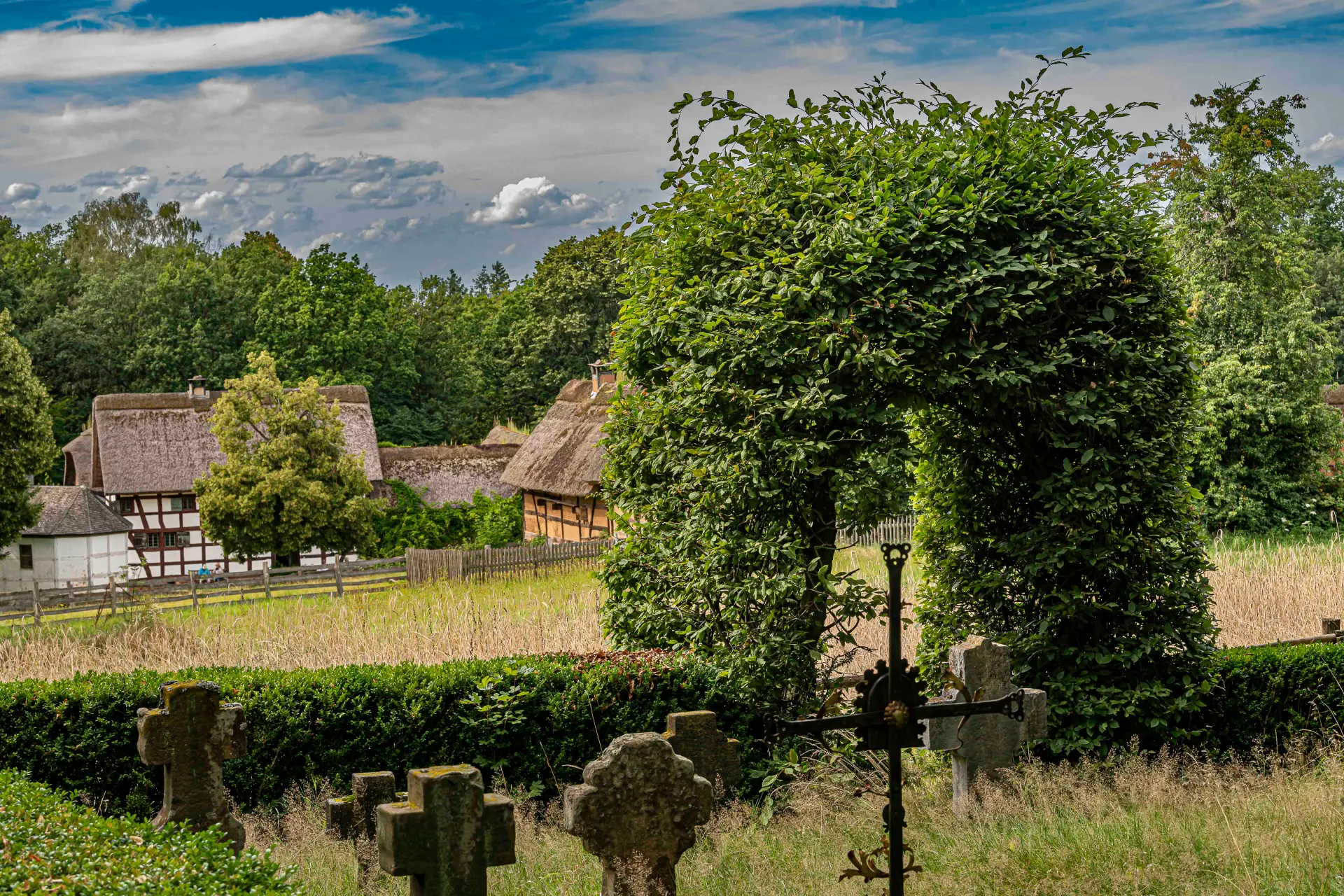 Blick in einen Ziergarten
