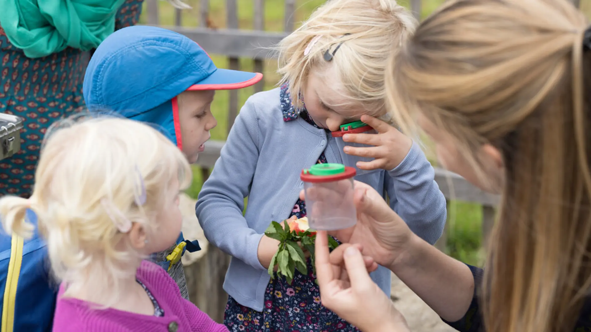 Kinder schauen in eine Becherlupe