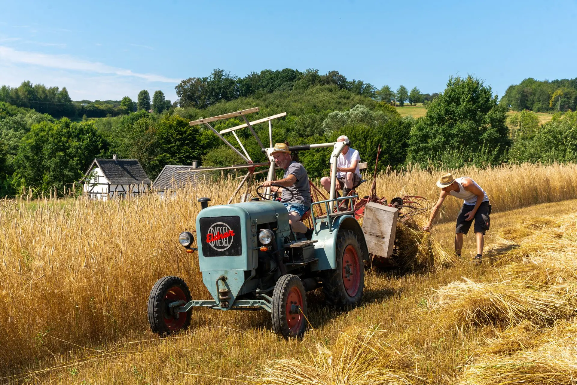 Bauernmarkt im LVR-Freilichtmuseum Lindlar