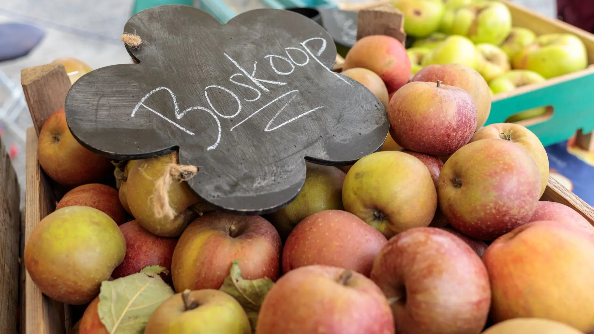 Obstwiesenfest im LVR-Freilichtmuseum Lindlar