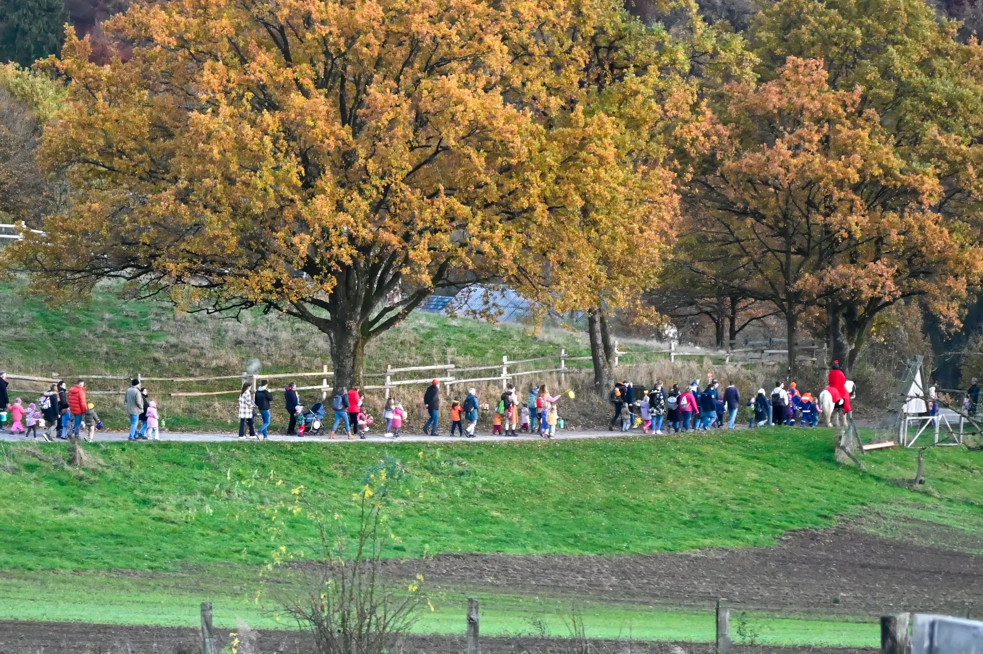 Martinsumzug mit Laternen durchs Museumsgelände in Lindlar