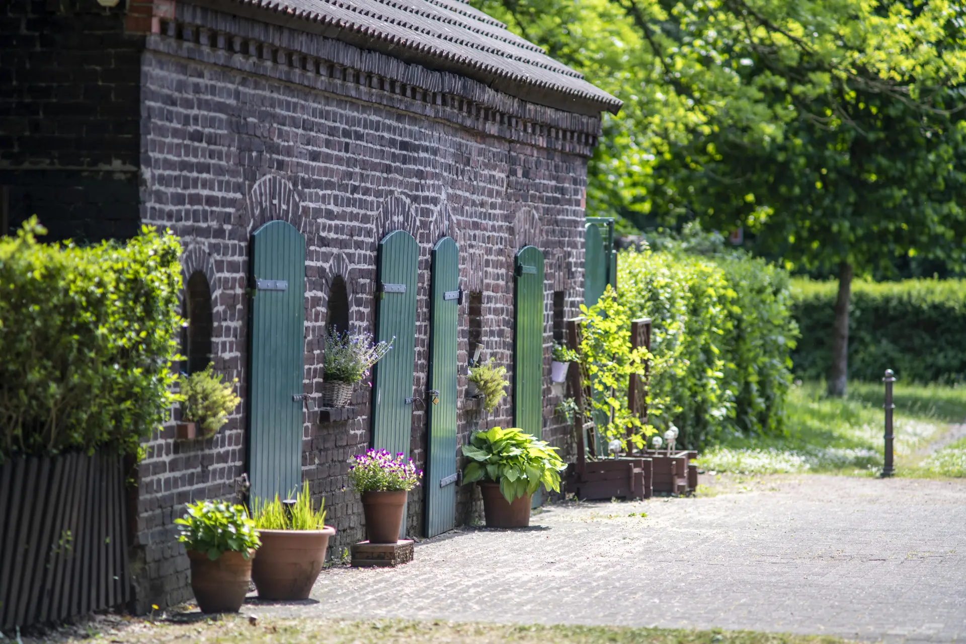Historische Hausfassade mit Blumenkübeln