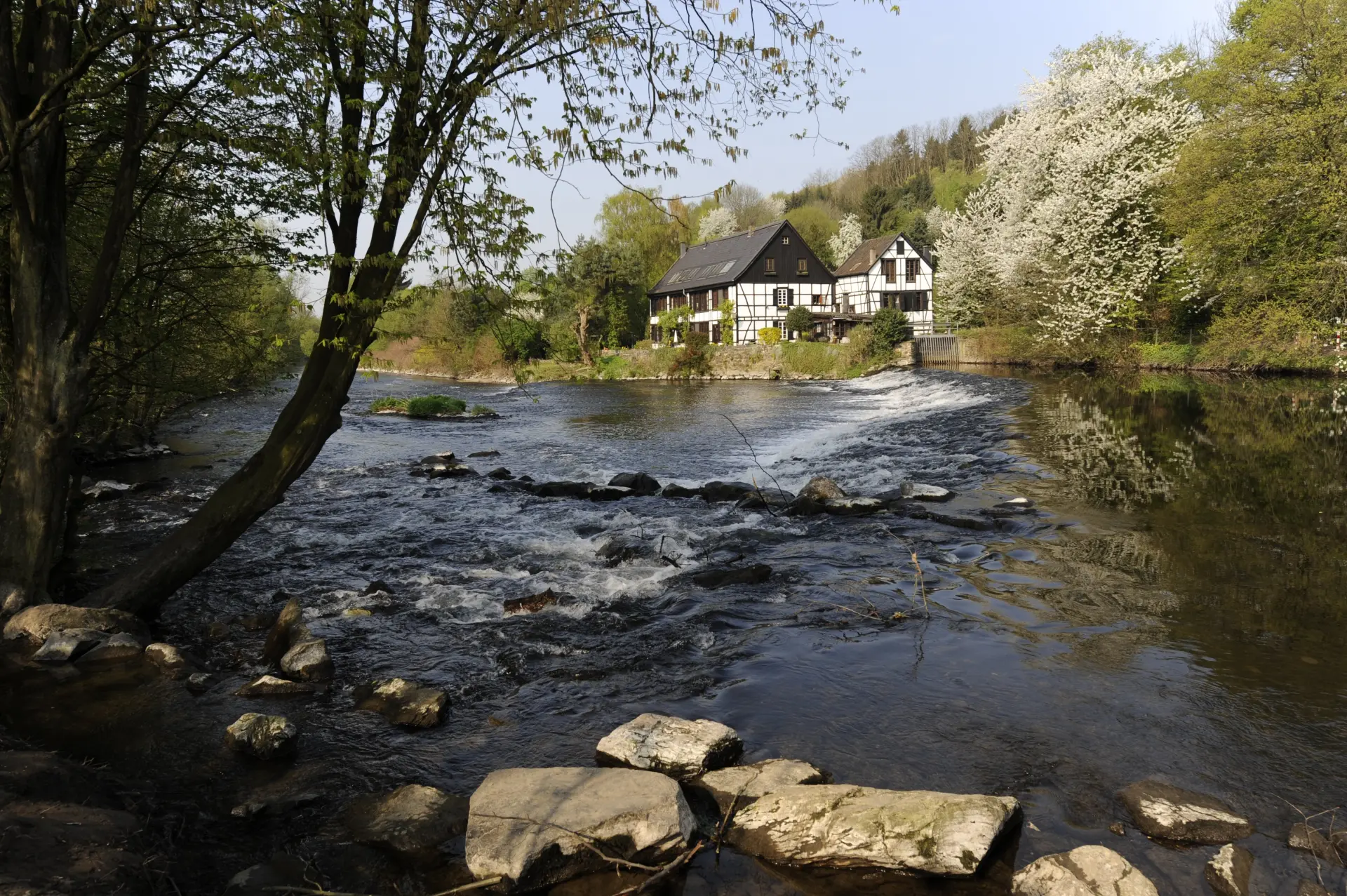 Blick über einen Fluss hinweg auf zwei Fachwerkhäuser am anderen Ufer.