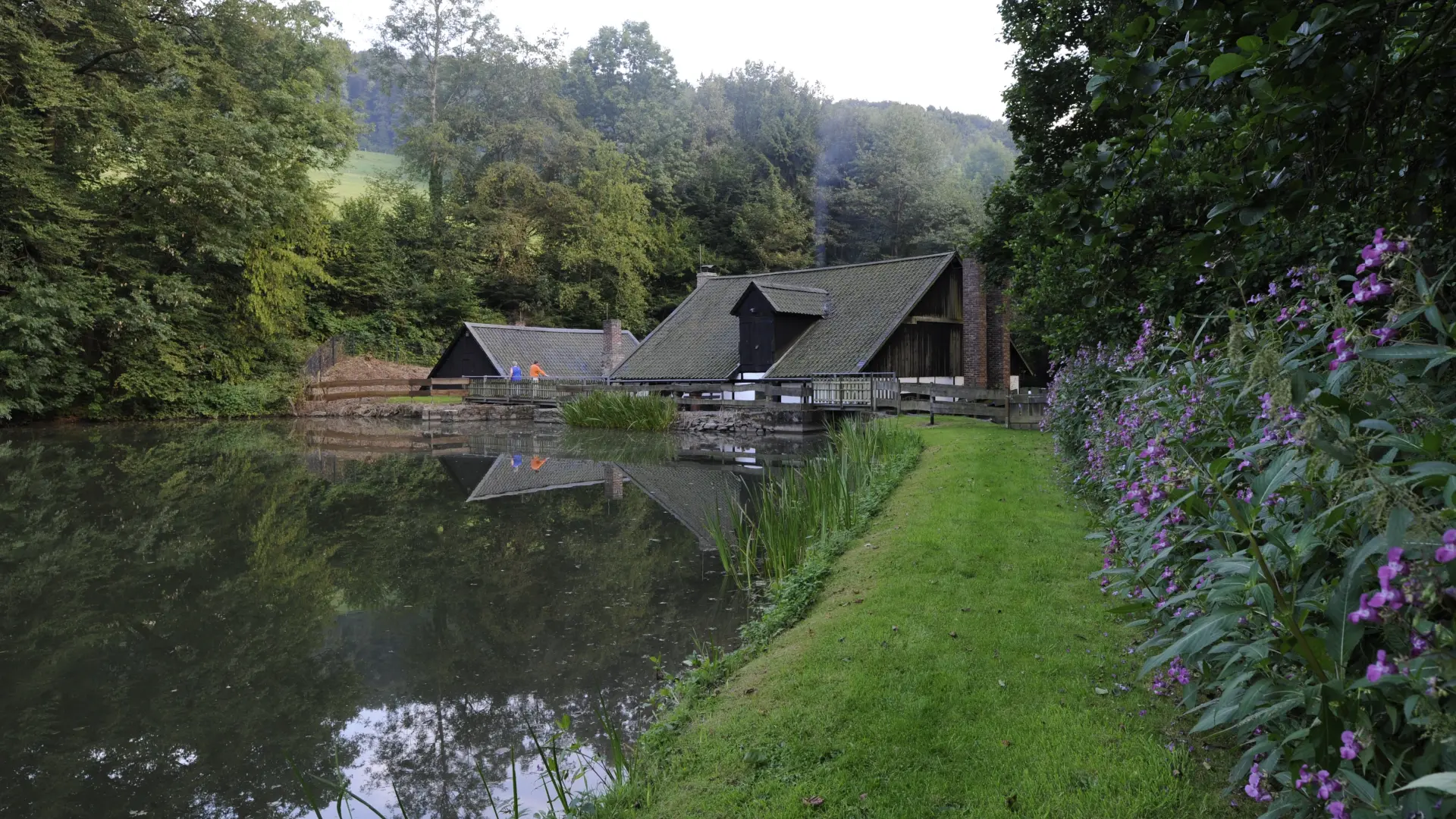 Ein Gebäude in einem Wald an einem großen Teich gelegen