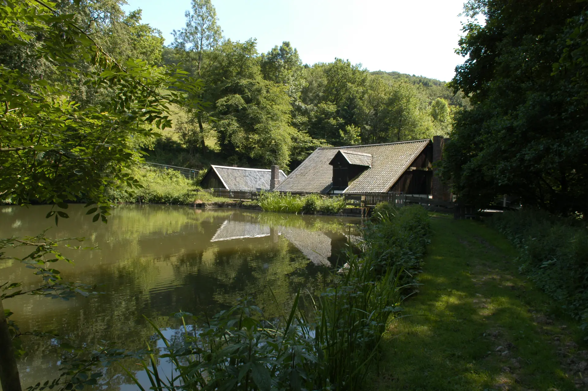 Ein Gebäude in einem Wald an einem See