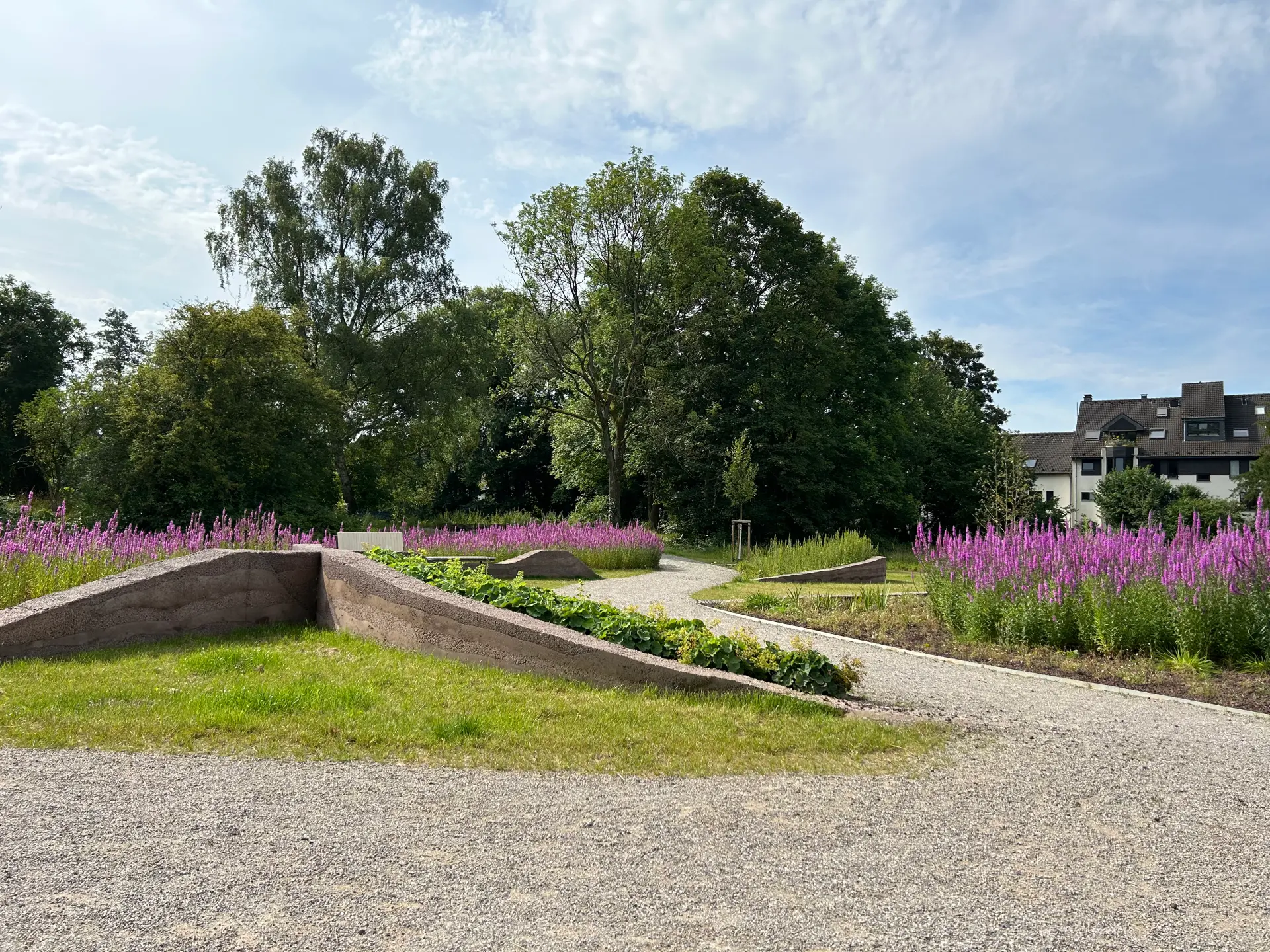 Wiesen, Wege und Beete mit bunten Blumen
