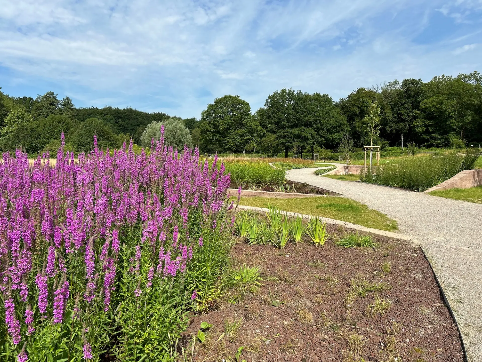 Wege durch einen bunt bepflanzten Park