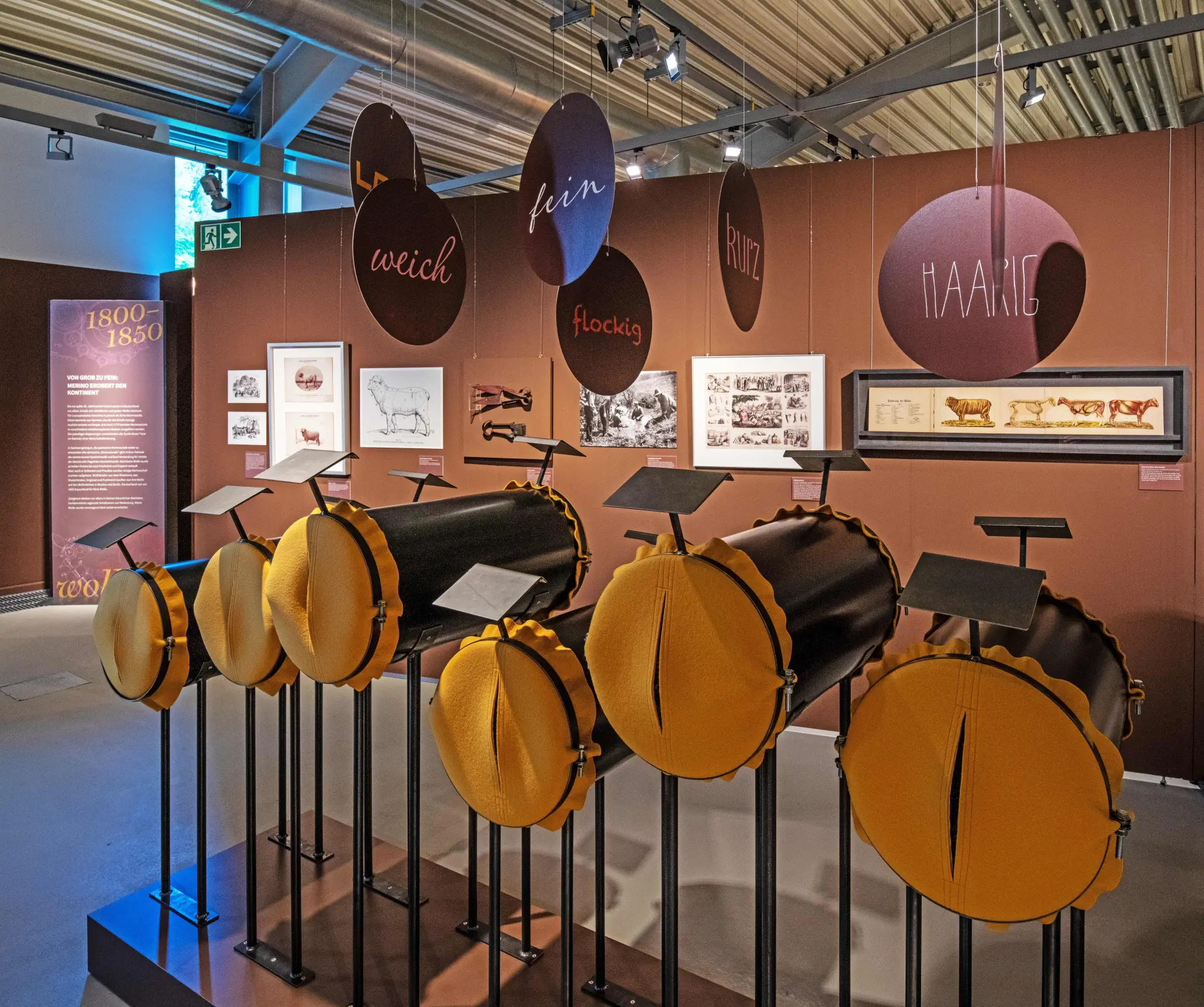 Blick in eine Ausstellung mit Mitmachstationen