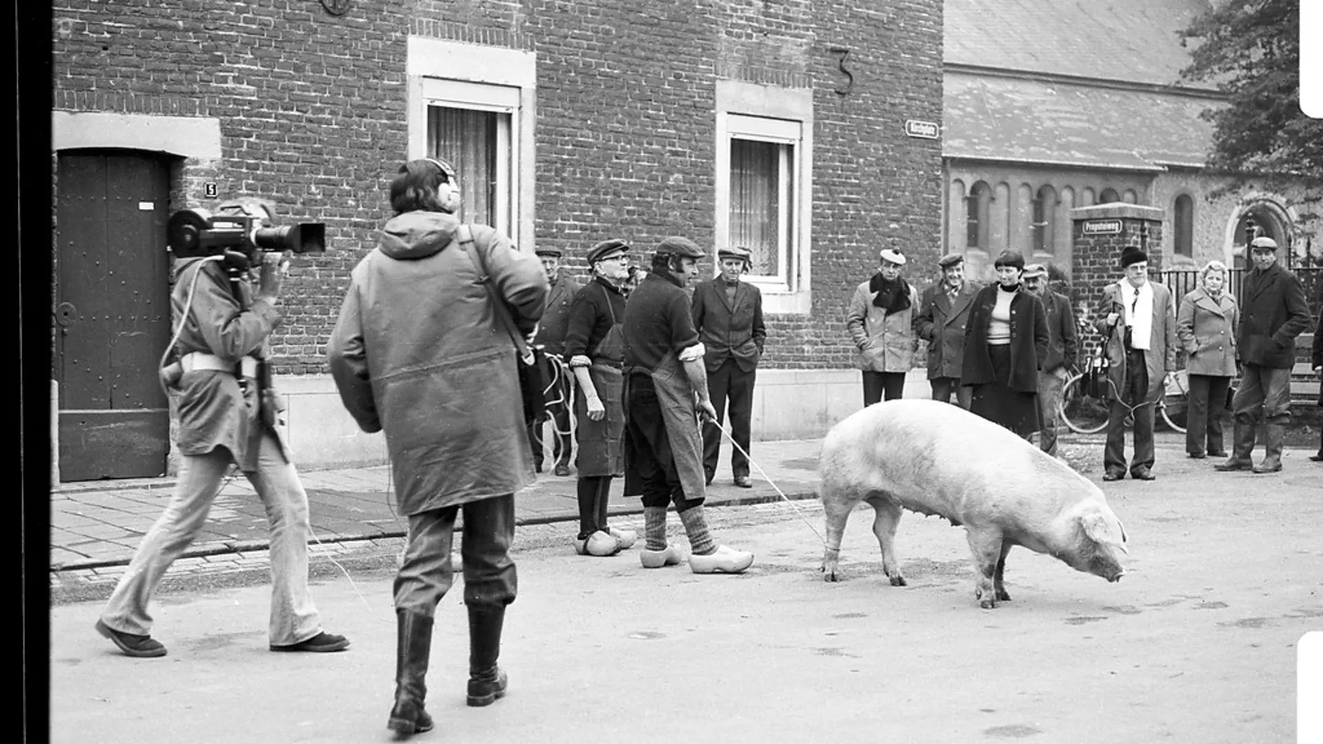 Dreharbeiten zur Filmdokumentation „Hausschlachtung“ in Millen im Jahr 1975.