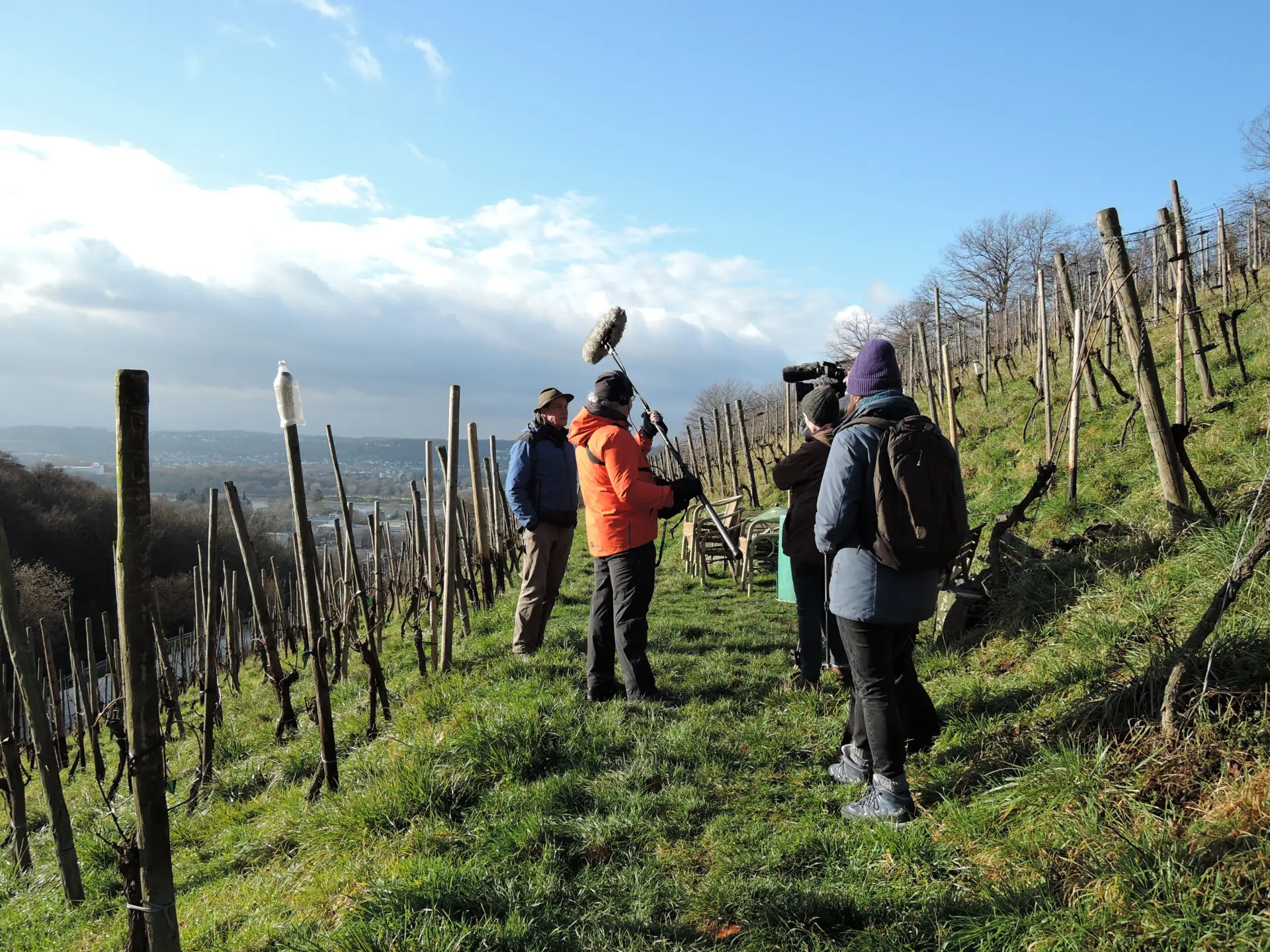 Filmteam im Weinberg während der Arbeit