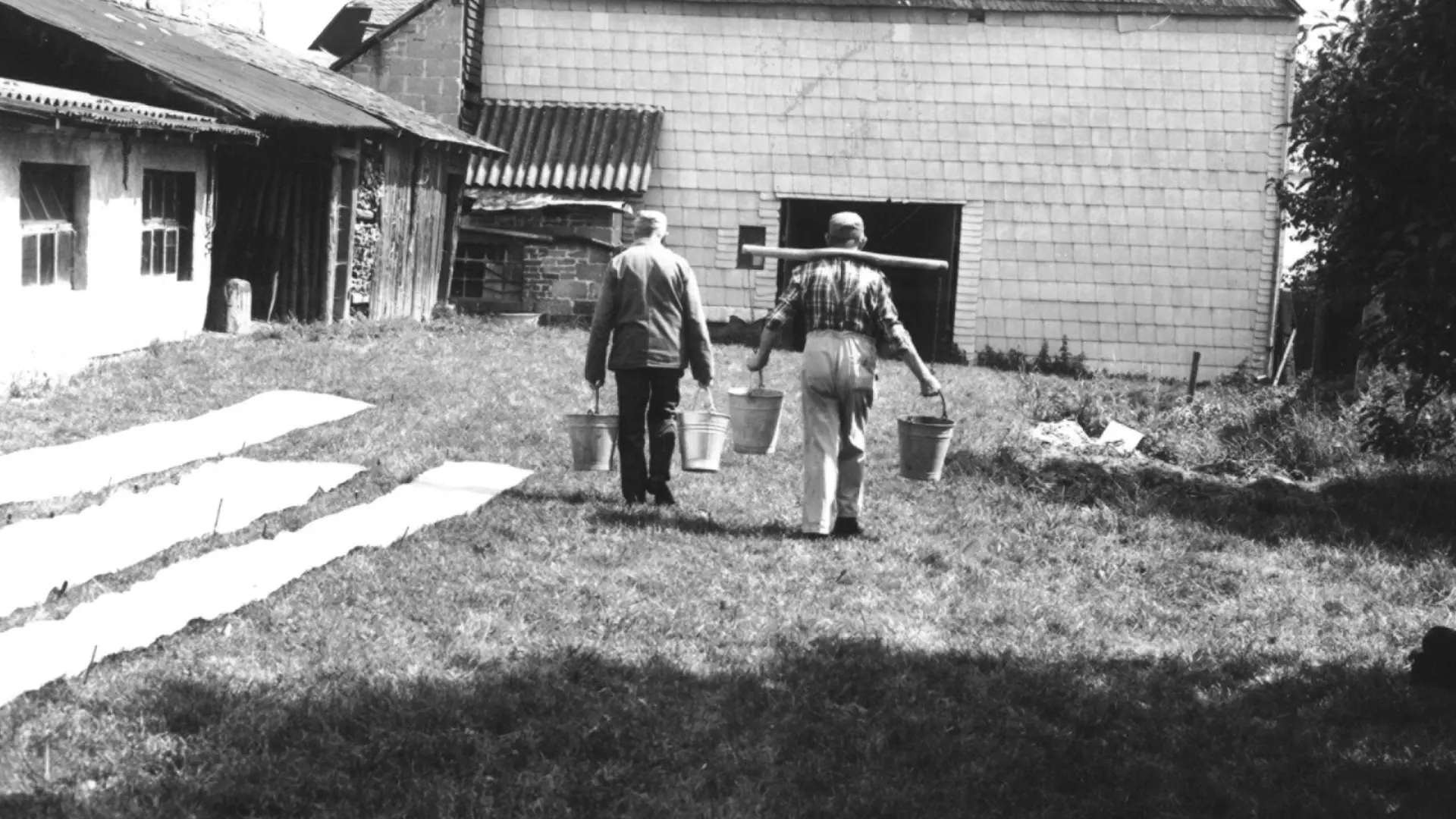 Historische Aufnahme: Personen während der Weinernte im Weinberg