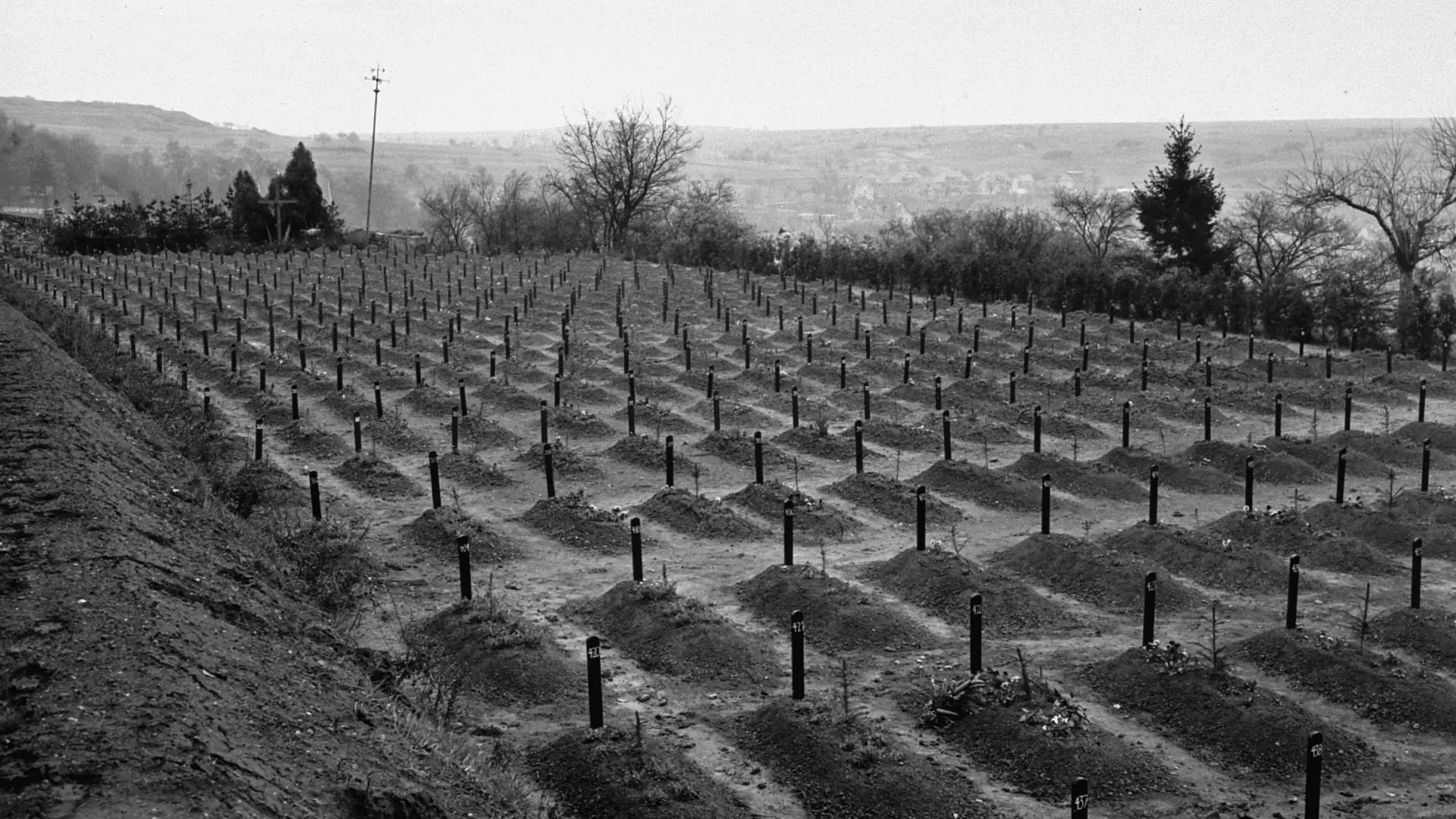 Friedhof Hadamar