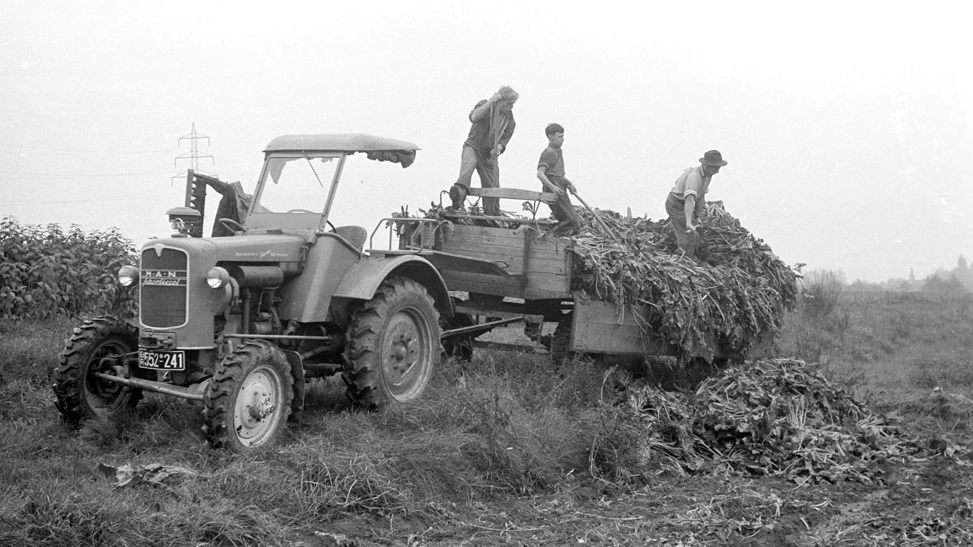 Landmaschine während der Ernte