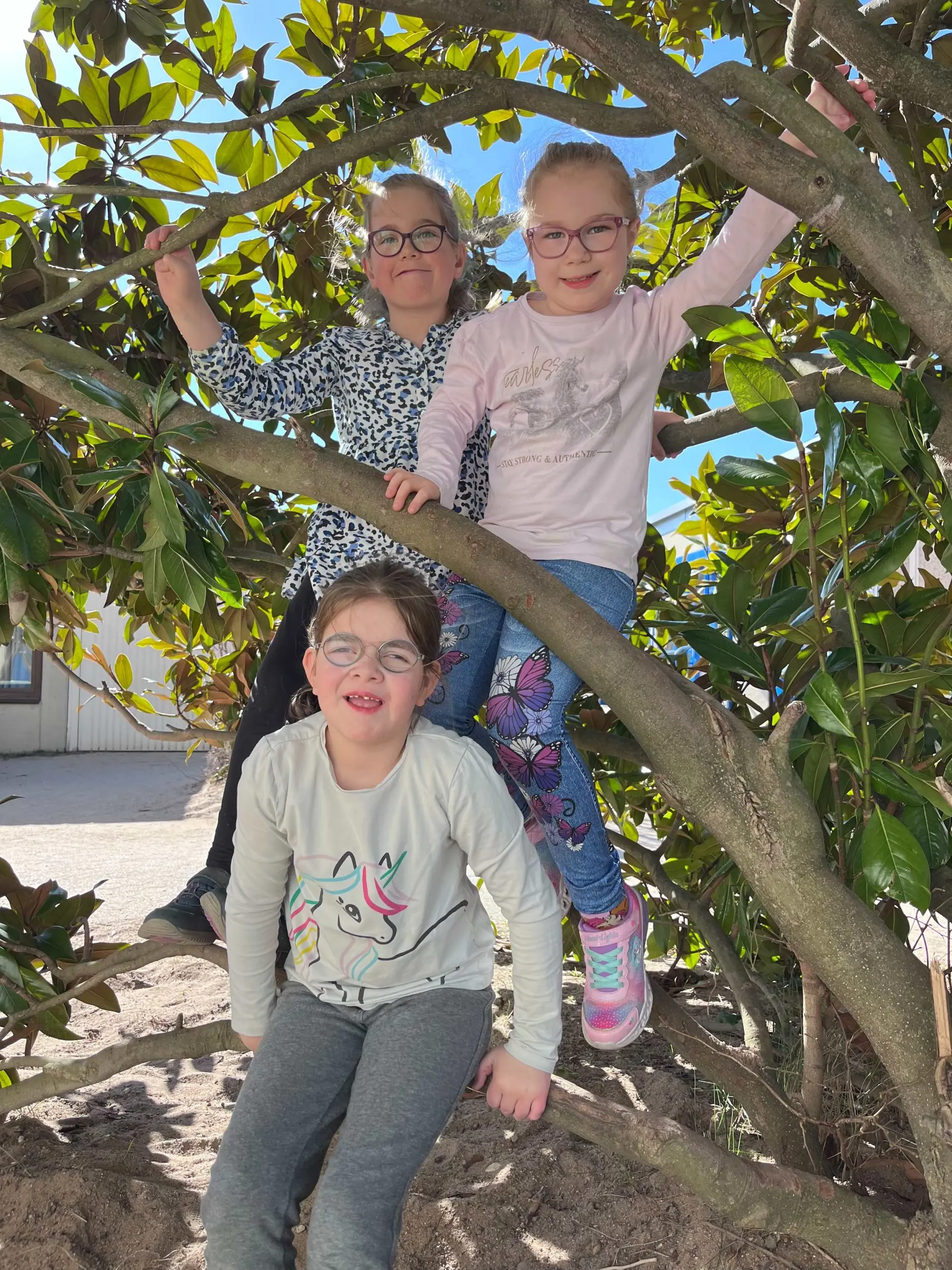 Drei Kinder sitzen in einem Baum, auf den sie geklettert sind