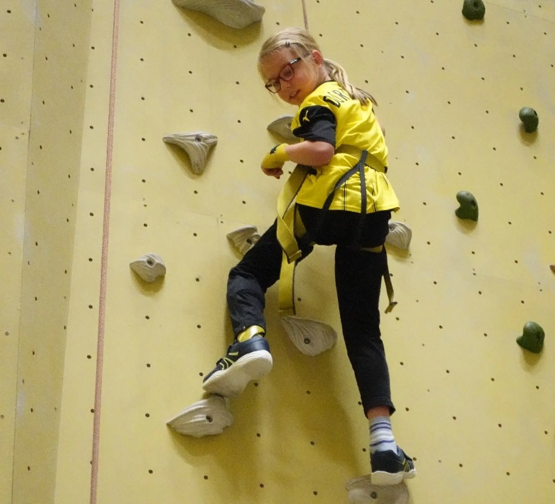 Eine Schülerin klettert abgesichert eine Kletterwand hoch. 