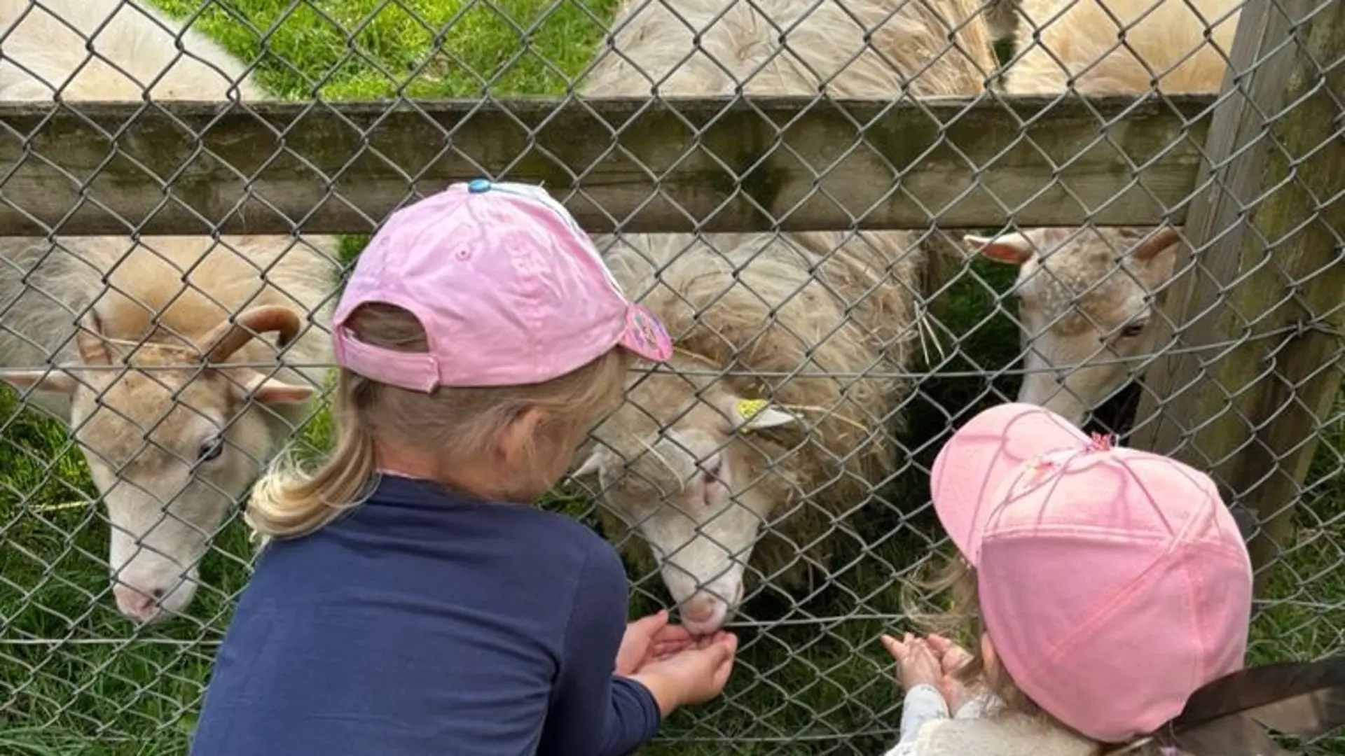 Kinder und Tiere