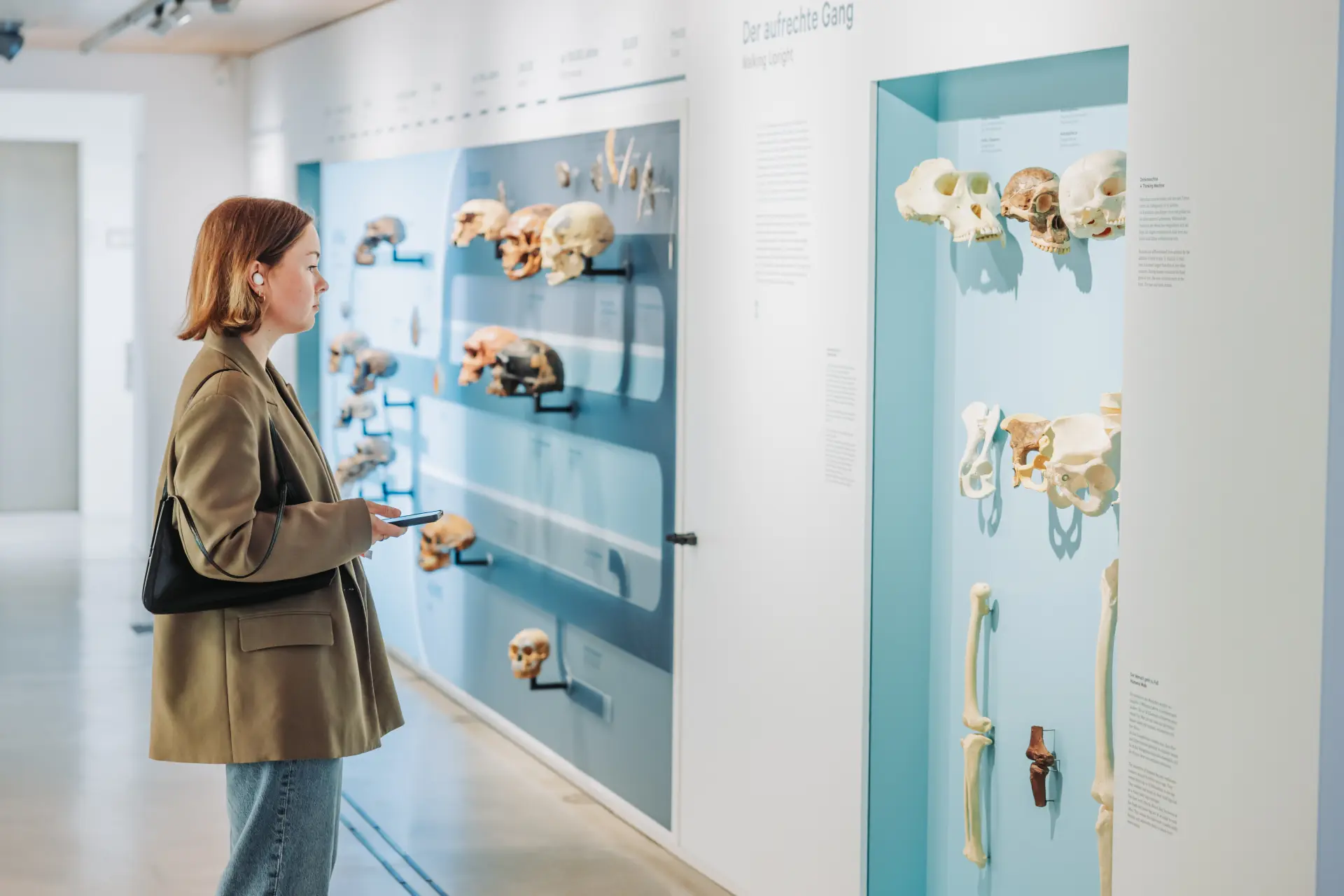 Frau mit Mediaguide schaut sich die Infowand zur menschlichen Evolution an.