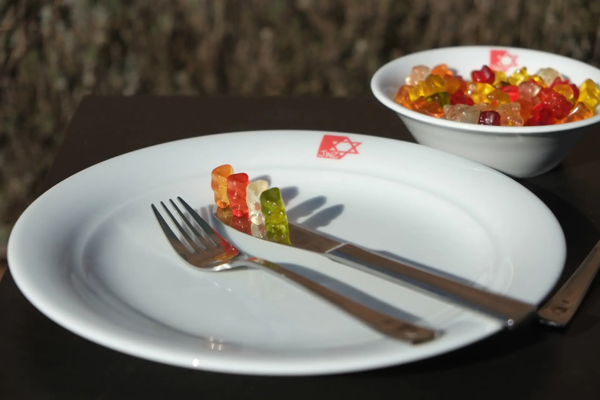 Gummibärchen sind in einer Schüssel und auf einem Messer, das auf einem Teller liegt. Das weiße Geschirr hat eine rote Markierung.
