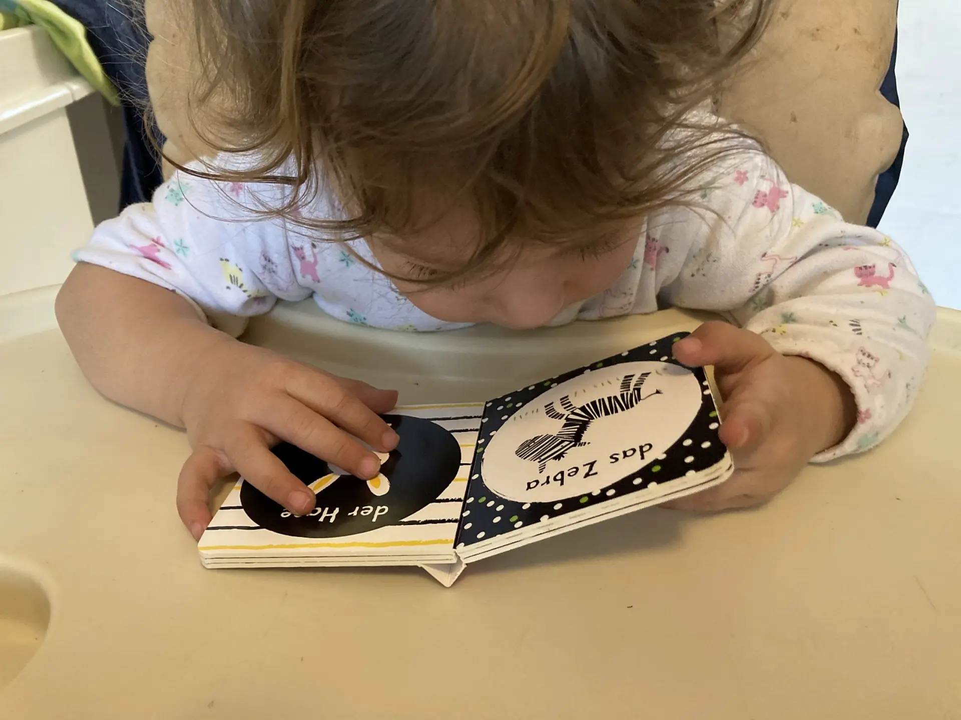Ein kleines Kind sitzt im Kinderhochstuhl. Auf dem Stuhltablett vor ihm liegt ein Klappbuch mit dicken Pappseiten für Babies, das Kind hält es mit beiden Händen aufgeklappt und beugt sich ganz nah zu den Bildern. Auf der einen Seite ist ein Zebra illustriert, mit der Schrift 'das Zebra' drüber. Auf der anderen Seite ist ein Hase zu sehen, mit der Schrift 'der Hase' drüber.