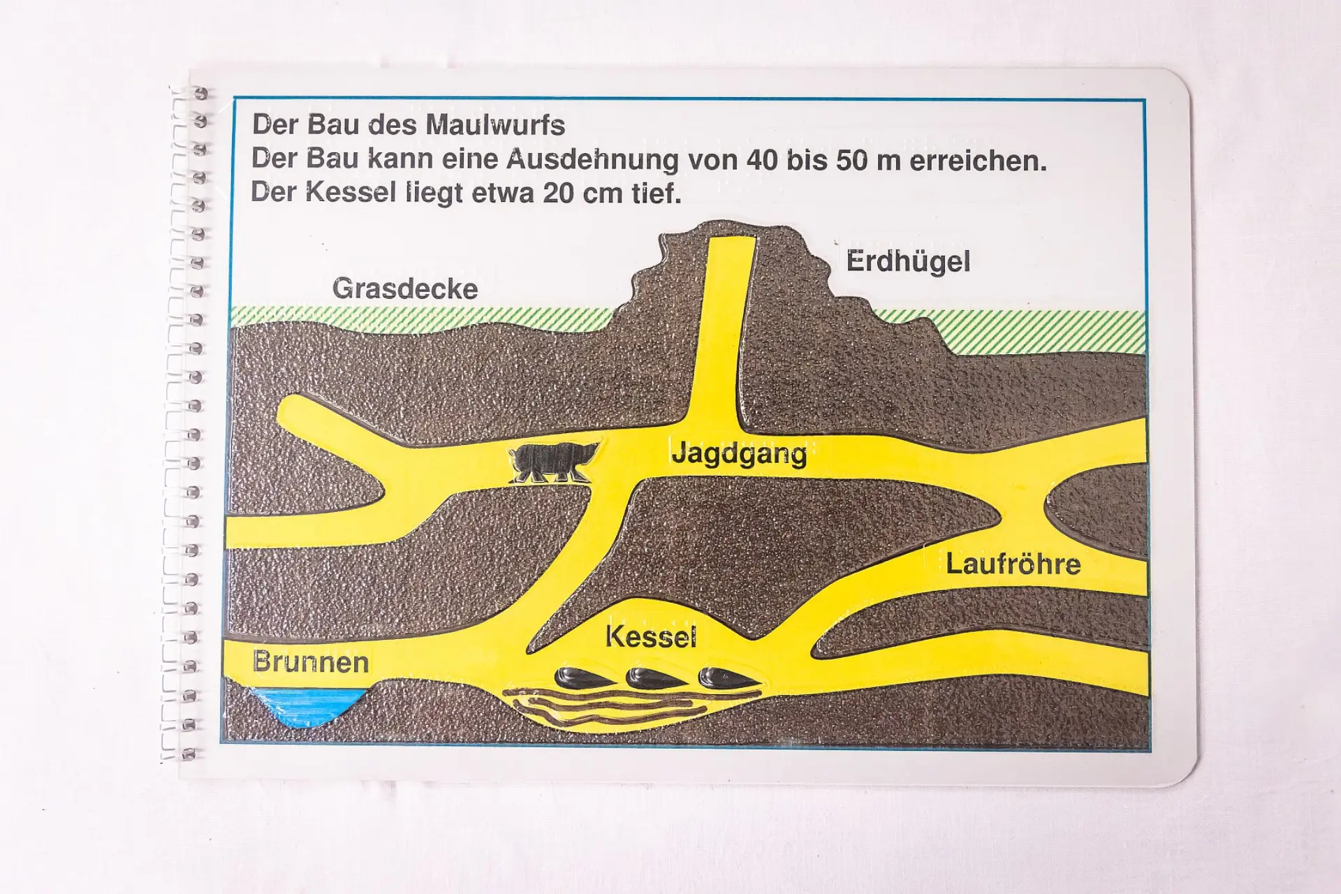 Eine aufgeschlagene Seite eines Spiralblocks zeigt ein taktiles Diagramm des Baus eines Maulwurfs, überschrieben mit "Der Bau des Maulwurfs" und einer Beschreibung. Das Diagramm stellt einen Querschnitt durch die Erde dar. Ein Gangsystem verläuft durch die Erde, das einen "Erdhügel", einen "Jagdgang" mit einem Maulwurf, eine "Laufröhre", einen "Kessel" und einen "Brunnen" zeigt. Alle Elemente sind taktil hervorgehoben und beschriftet. Der Text besagt: "Der Bau kann eine Ausdehnung von 40 bis 50 Metern erreichen. Der Kessel liegt etwa 20 Zentimeter tief."