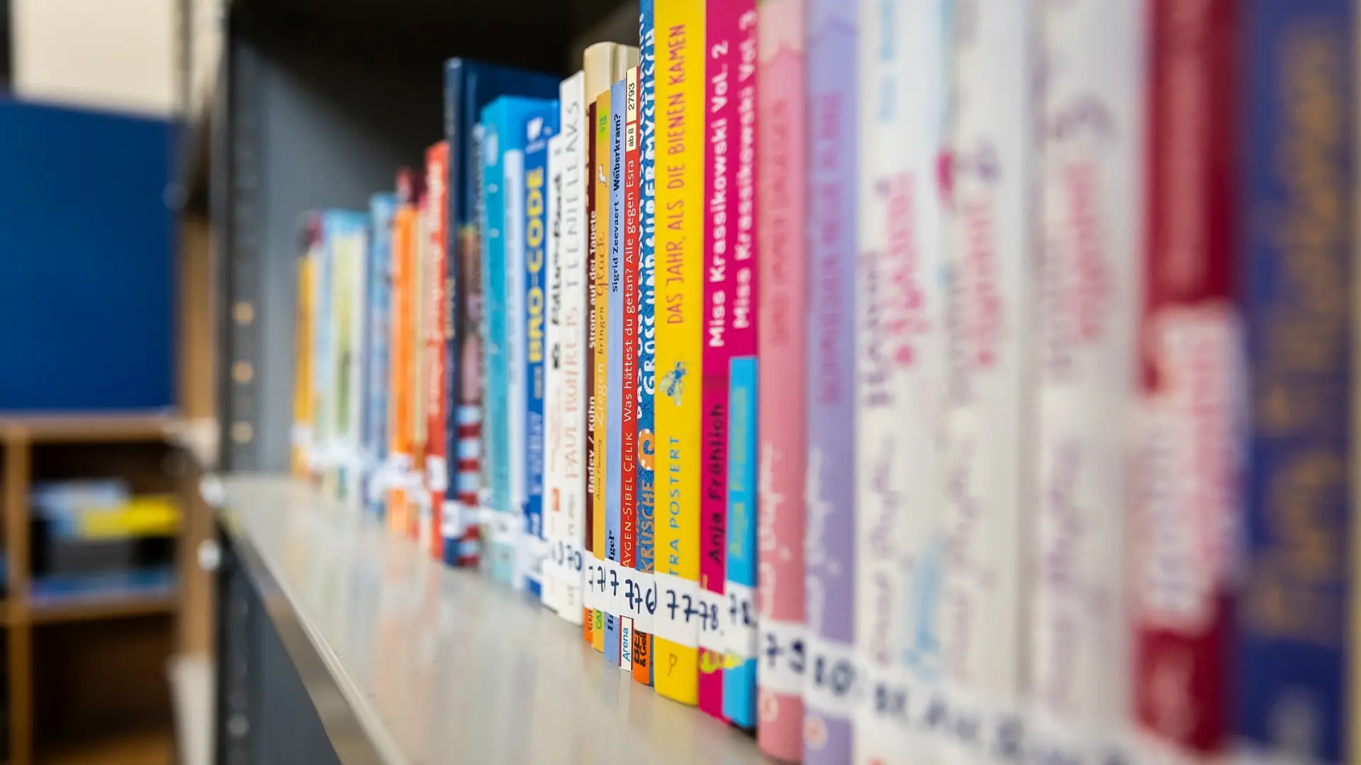 Ein Bücherregal in der Schulbibliothek. Auf dem vollen Regal sind über 20 Bücher zu sehen, sind sind mit Stickern mit Bibliothekskennzeichnung verseht.
