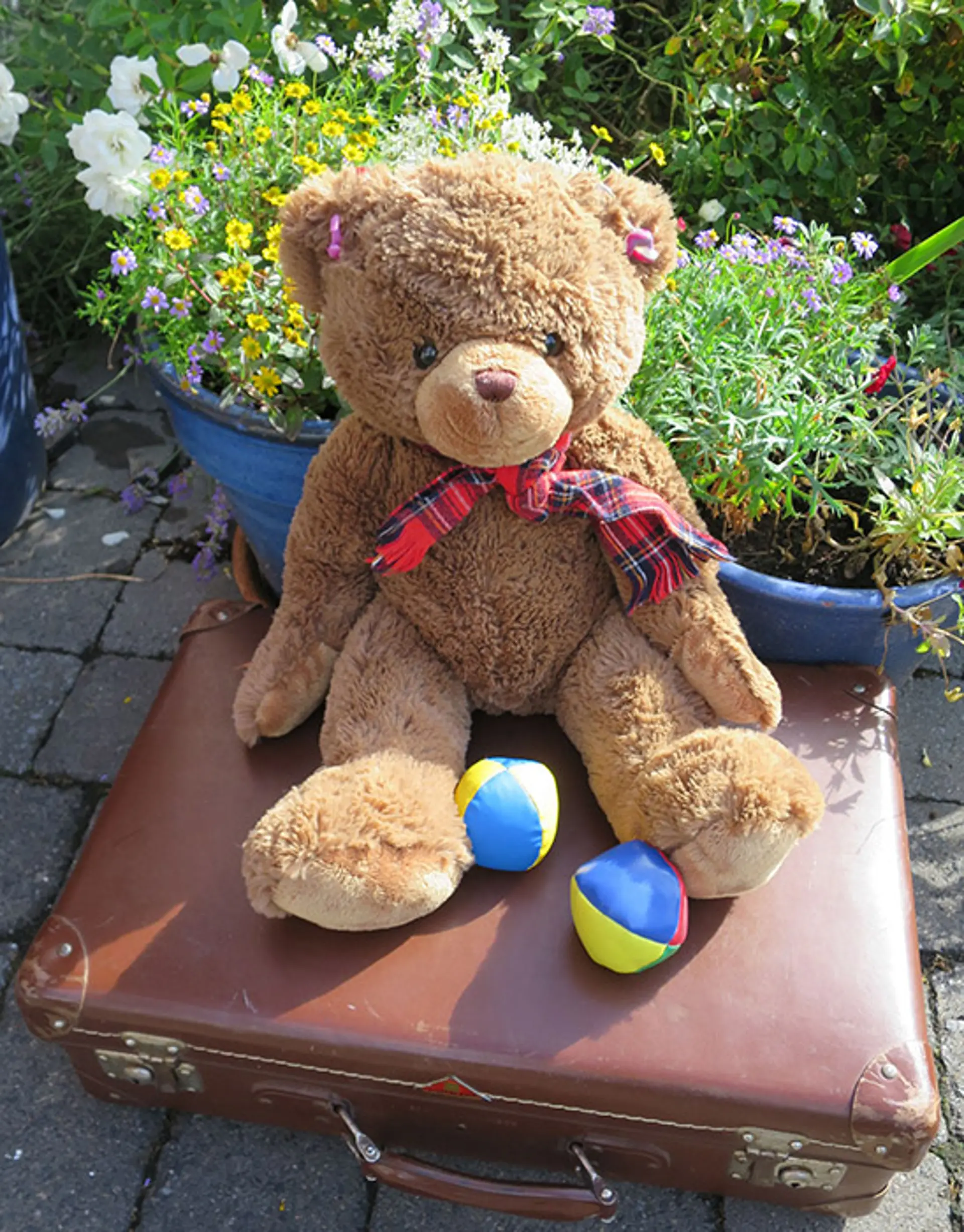 Plüschbär "Bummi" sitzt auf einem Koffer