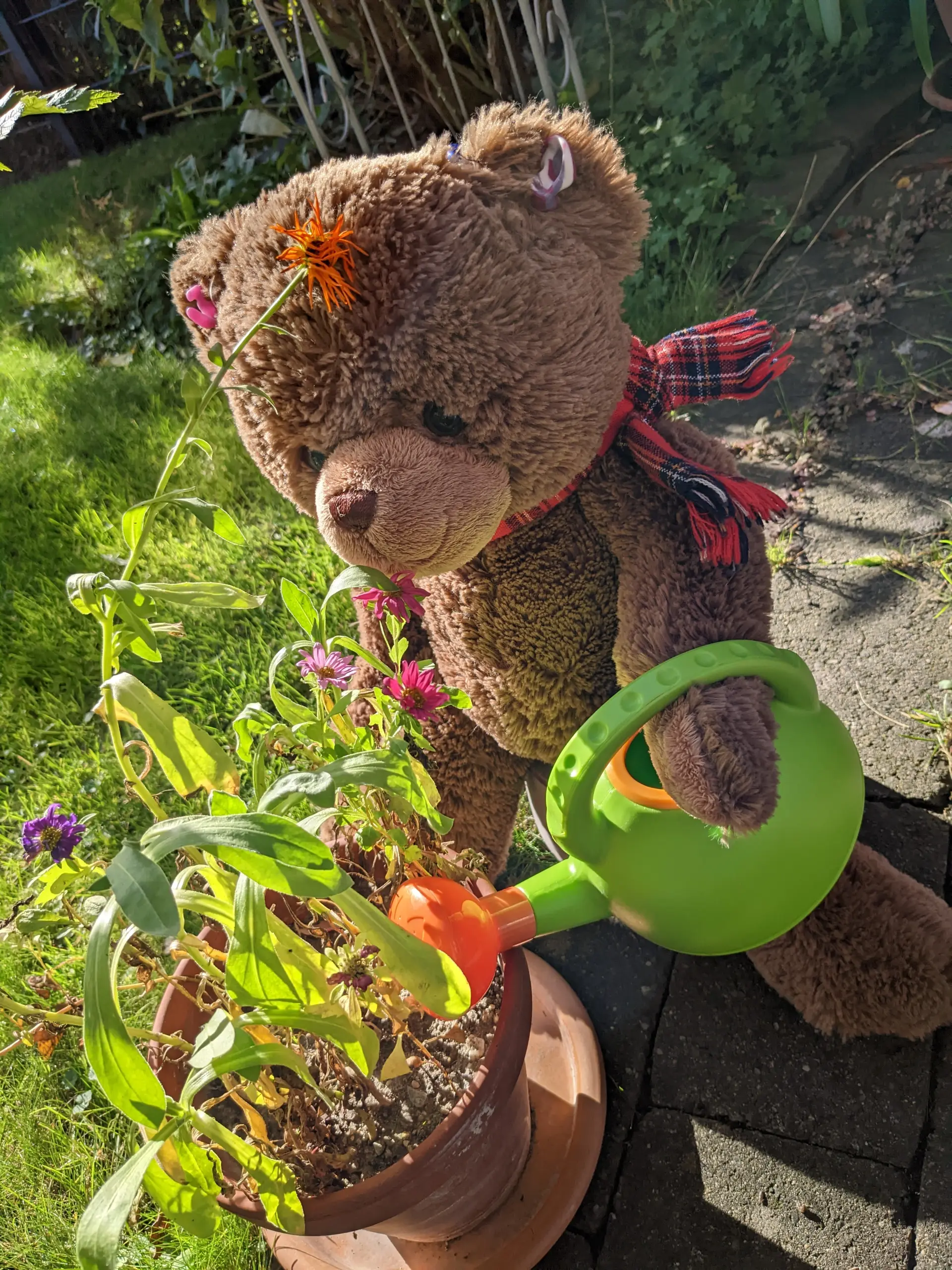 Bär Bummi, das Kuscheltier der Frühförderung, hält eine kleine grüne Gießkanne in der Tatze und gießt eine Blume
