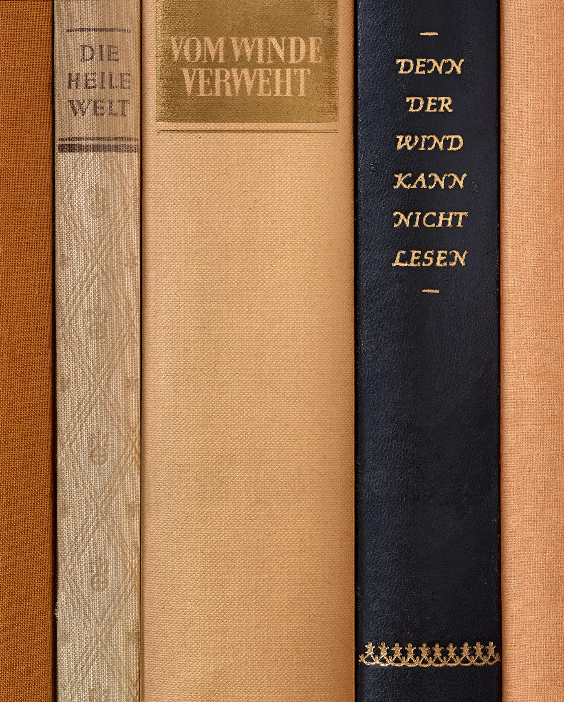 Foto verschiedener Buchrücken