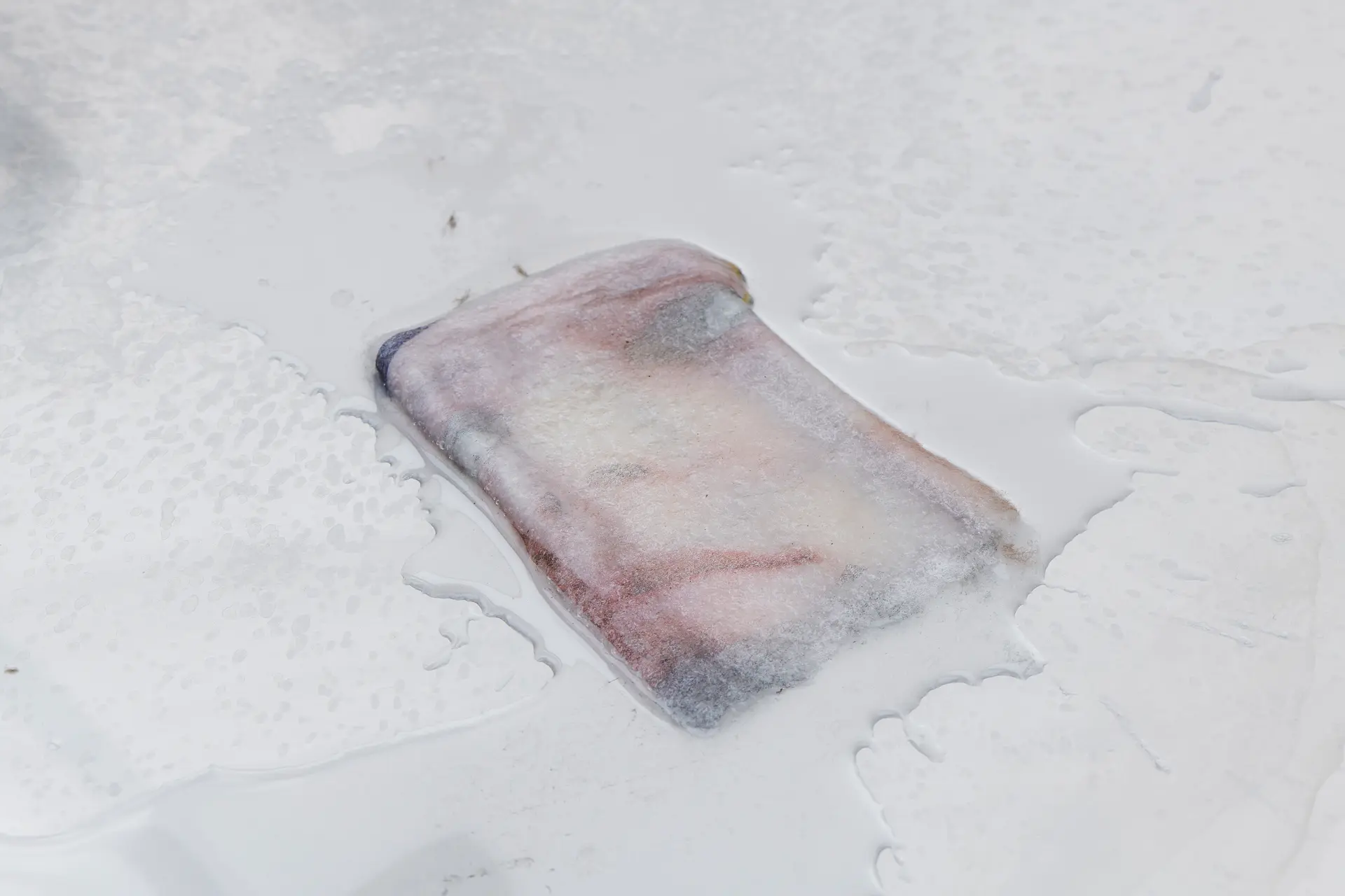 Ein in einen Eiswürfel eingefrorenes Foto