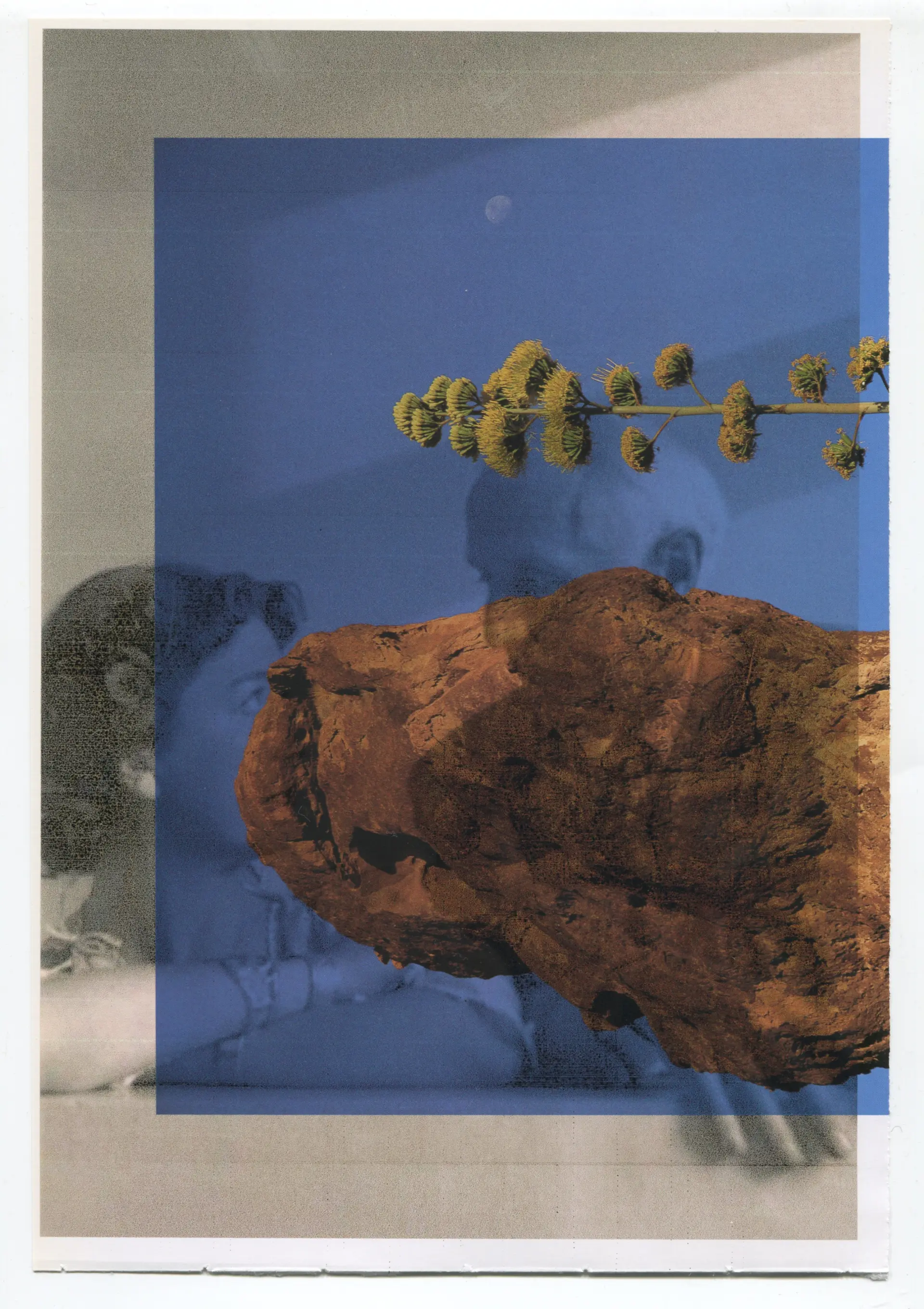 Collage