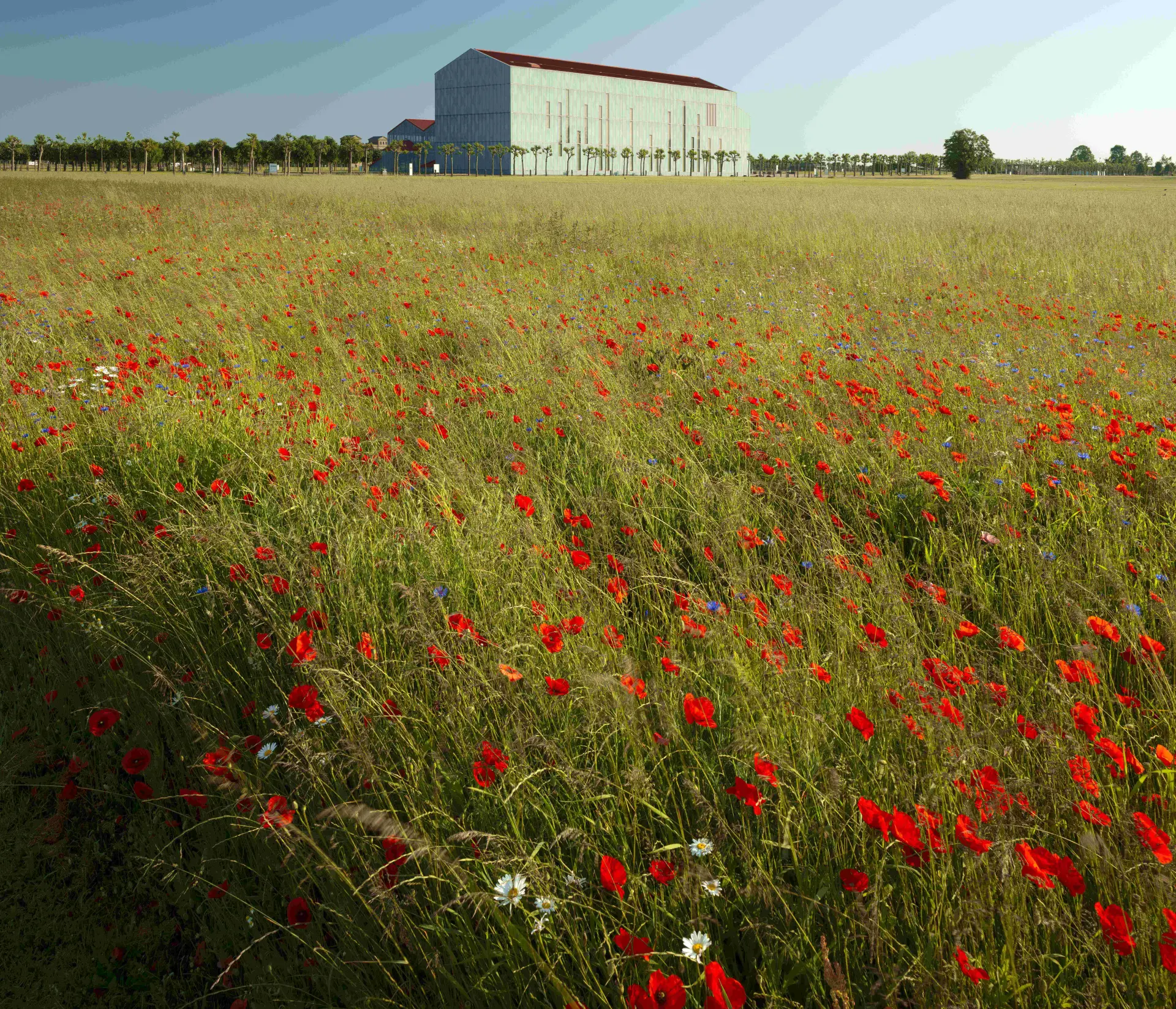Foto: Ein Museumsmitarbeiter spricht mit einem Mädchen und ihren Großeltern 