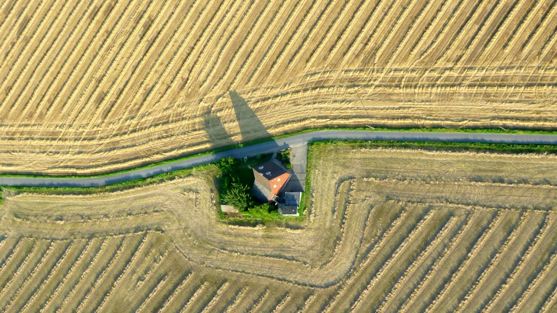 Platzhalter