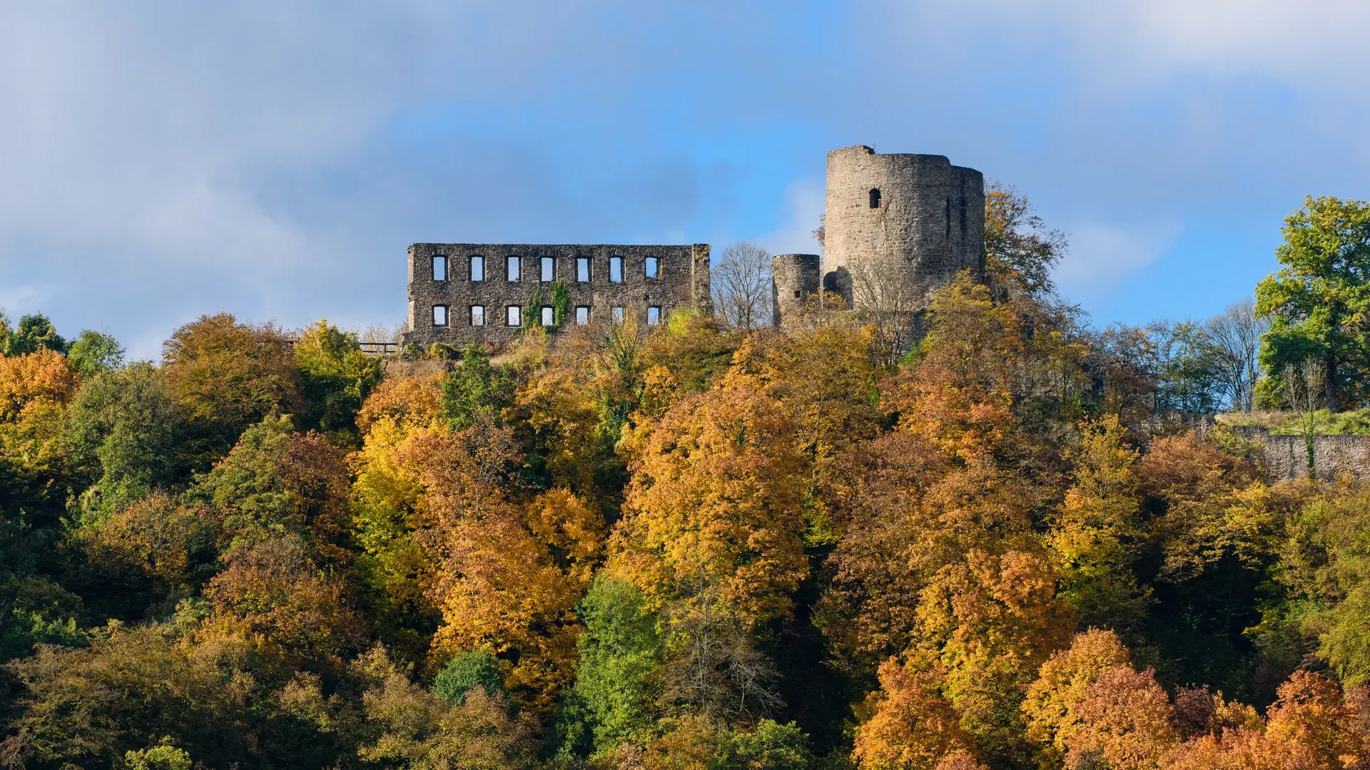 Ein Wald in herbstlichen Farben. Dahinter befindet sich eine Burgruine.