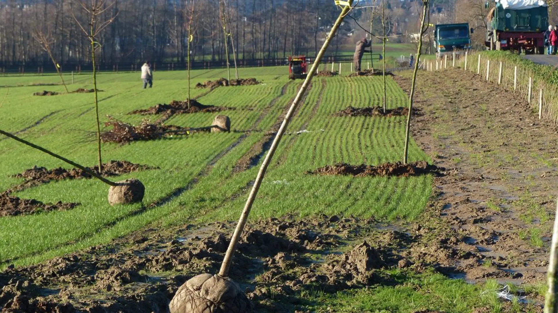 Platzhalter