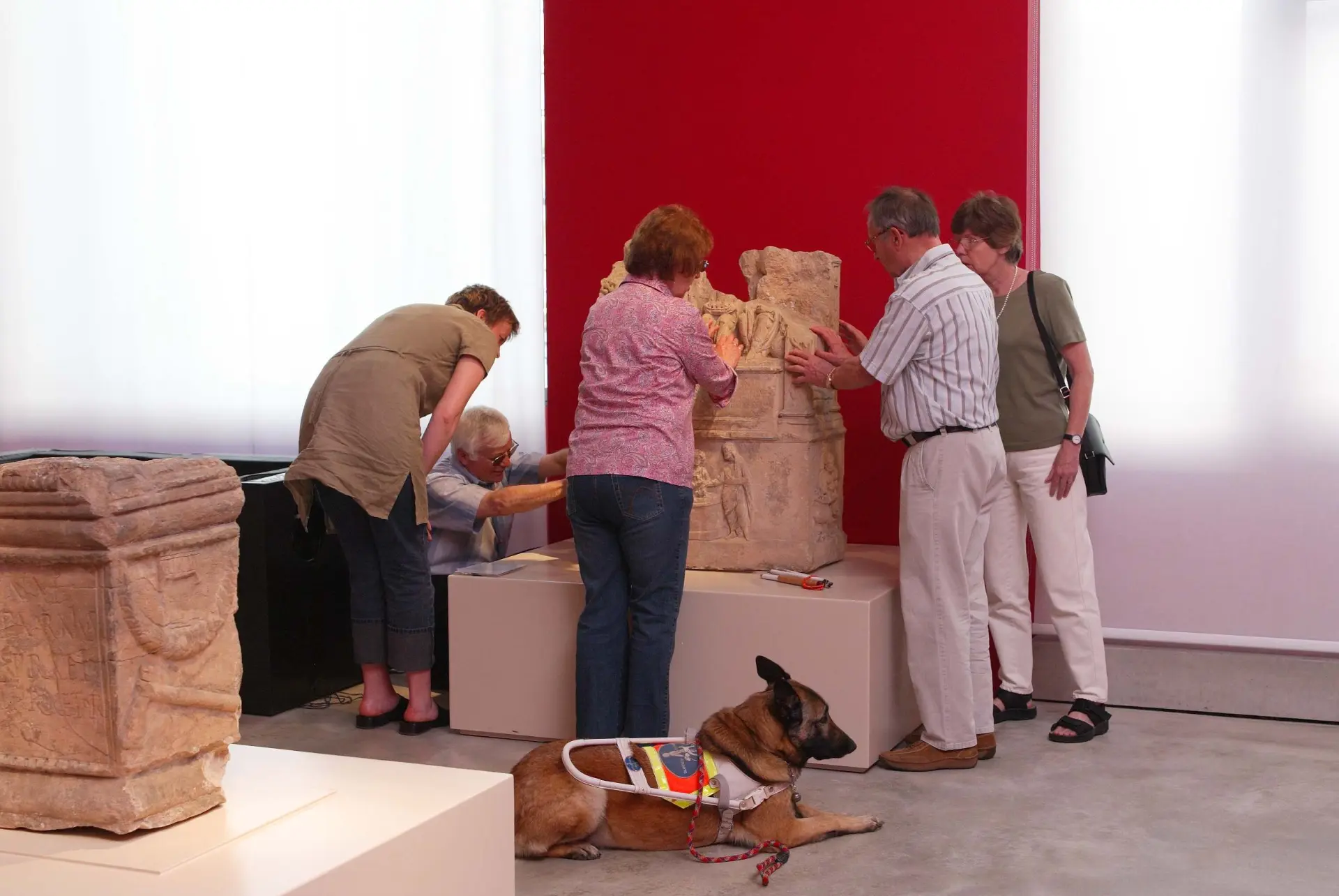 Foto: Eine Gruppe von Menschen betrachtet und ertastet ein Museumsobjekt. Vor der Gruppe liegt ein Hund mit Blindenhund-Geschirr.