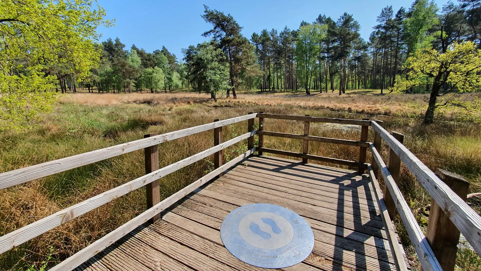 Blick von einem Holzsteg auf Gräser mit Bäumen im Hintergrund