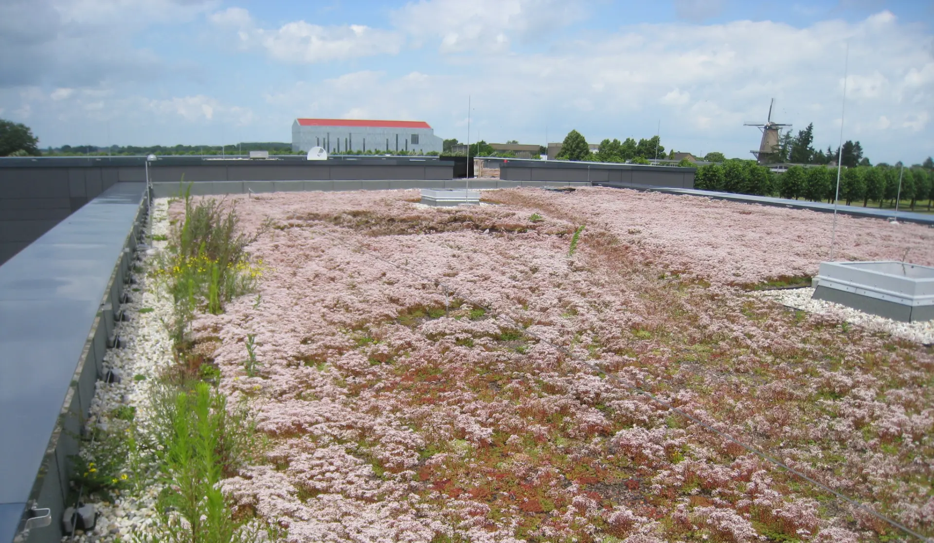 Fünf graue Mülltonnen stehen auf einem Feld und schauen zum Himmel.