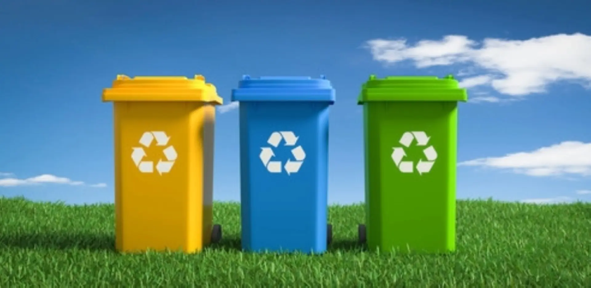 Drei farbige Mülltonnen stehen auf einem Feld mit einem Recyclingsymbol.