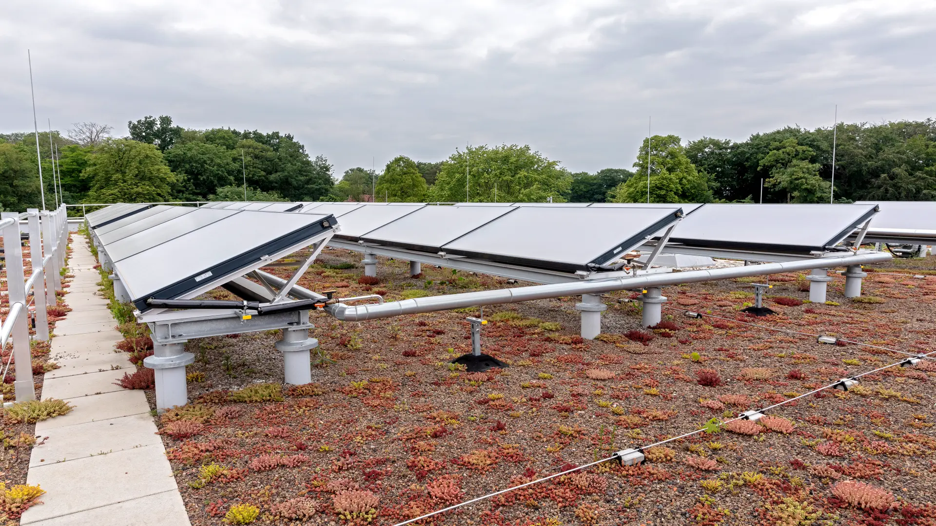 Visualisierung des begrünten Daches des Neubaus mit PV-Anlage