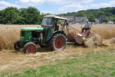 Tracktor bei der Arbeit auf dem Feld